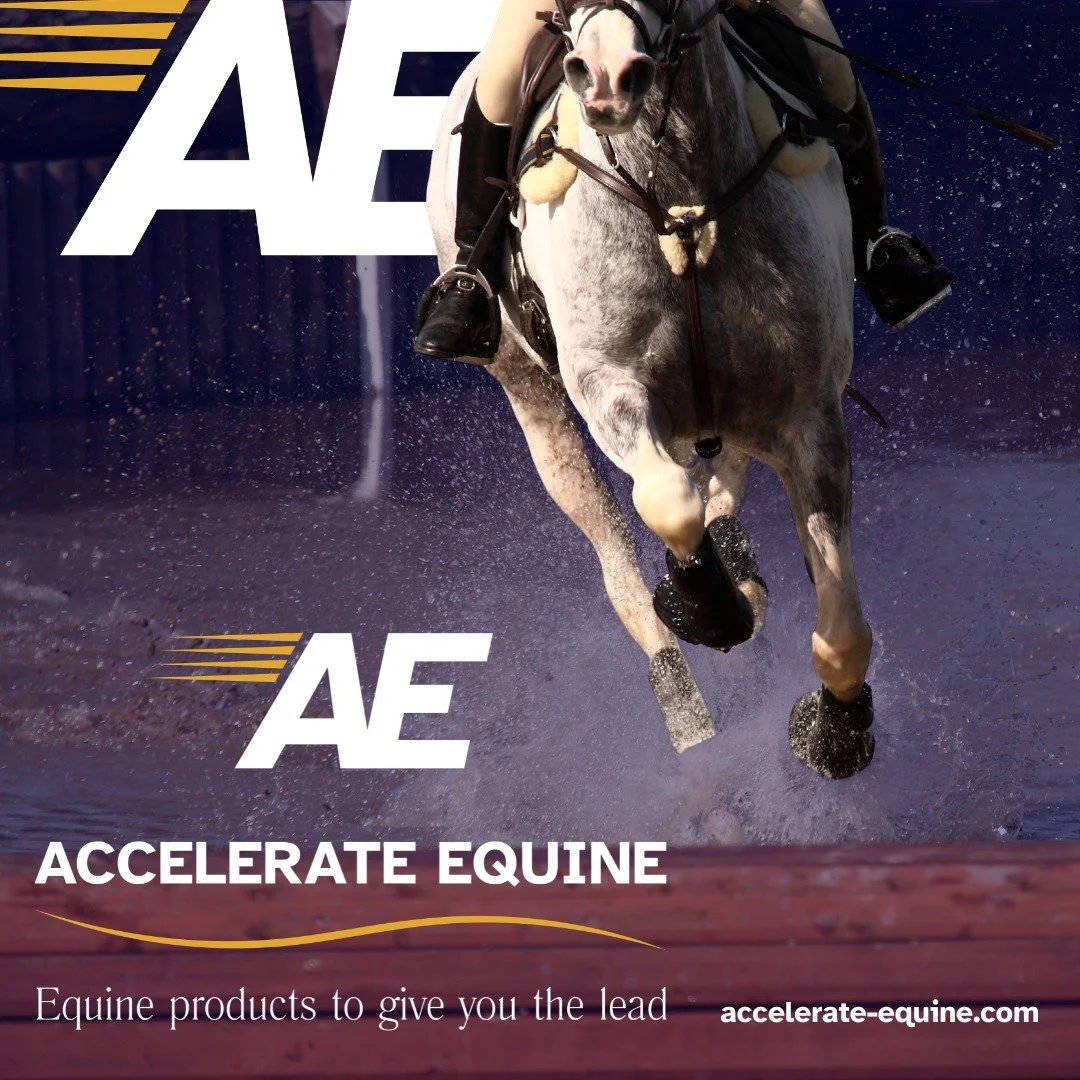 We're suppliers of specially selected products aimed at the high performance sports horse:

🌟 The home of RelyneGI &amp; Relyte HA in the UK &amp; Europe
🌟 Equality Range offering premium nutraceuticals
🌟 Flexineb Equine Nebuliser

Shop today 👉 h