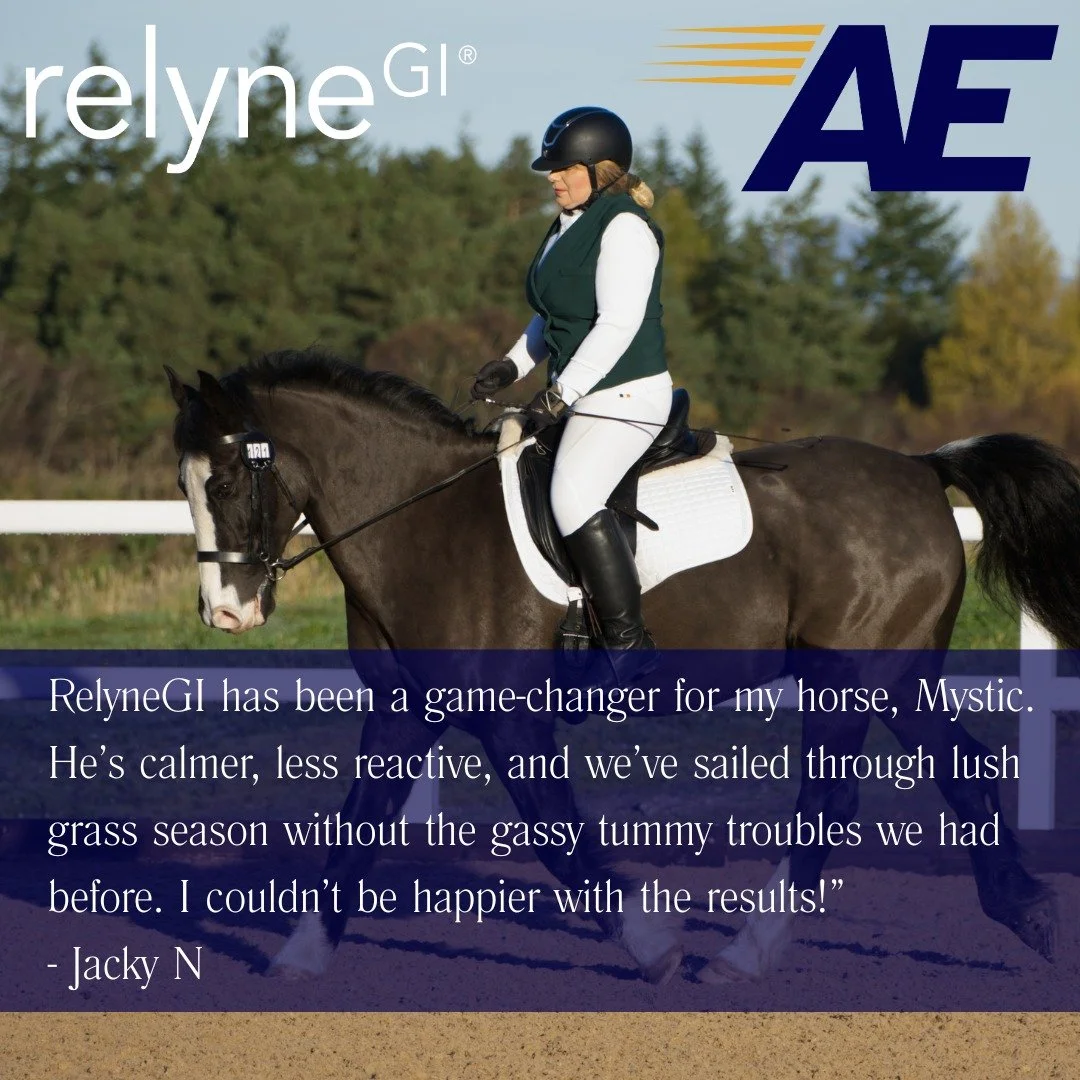 "My horse, Mystic, has been on RelyneGI for over a year now &mdash; he&rsquo;s calmer, less reactive, and no longer struggles with gassy tummy issues during lush grass season. I couldn&rsquo;t be happier!&rdquo;
&ndash; Jacky N

Discover what Re