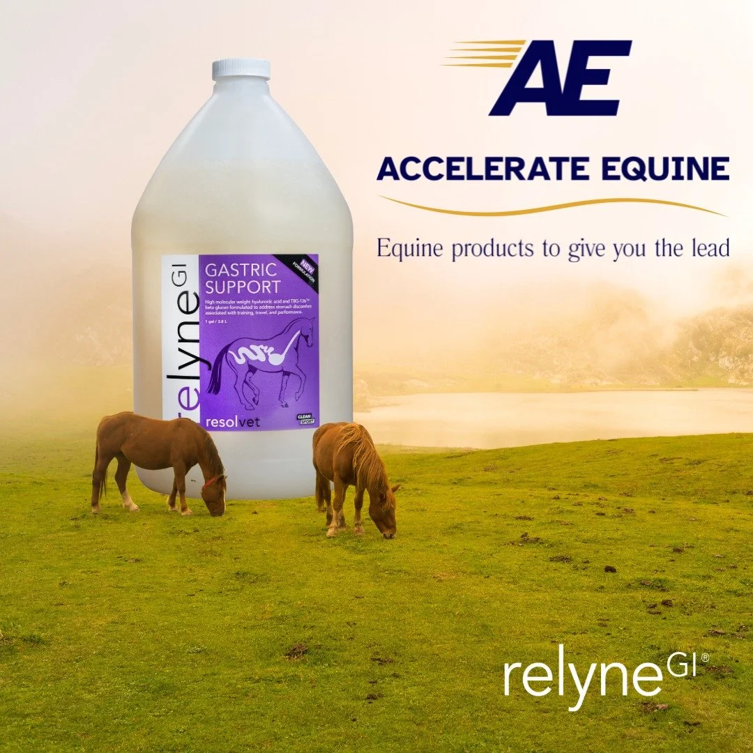 Don&rsquo;t overlook your horse&rsquo;s gastric health. Rethink with Relyne. Available at:
accelerate-equine.com

#equinevet #horsehealth #britishdressage #pferd #sportshorse #retrainingofracehorses #equestrianlife #equine #horses #accelerateequine