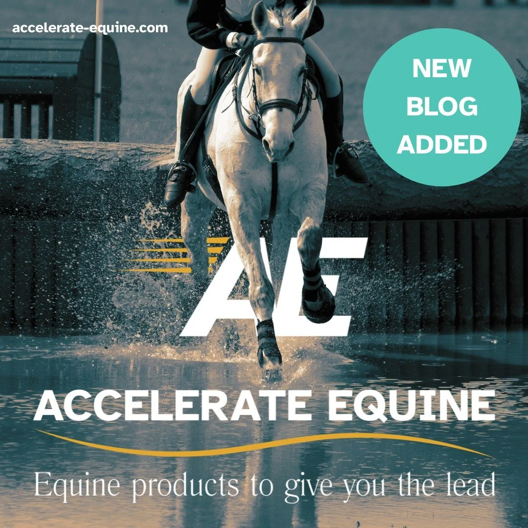 Ask the vet about poor performance: &ldquo;Do you think it could be ulcers?&rdquo;

This is a question that more and more of us are asking our vets, and when studies reveal that up to 70% of the horse population are affected by gastric ulcers, it&rsq