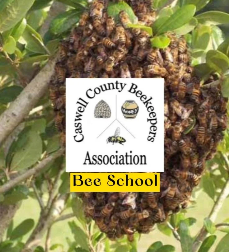 CCBA Bee School (field day)