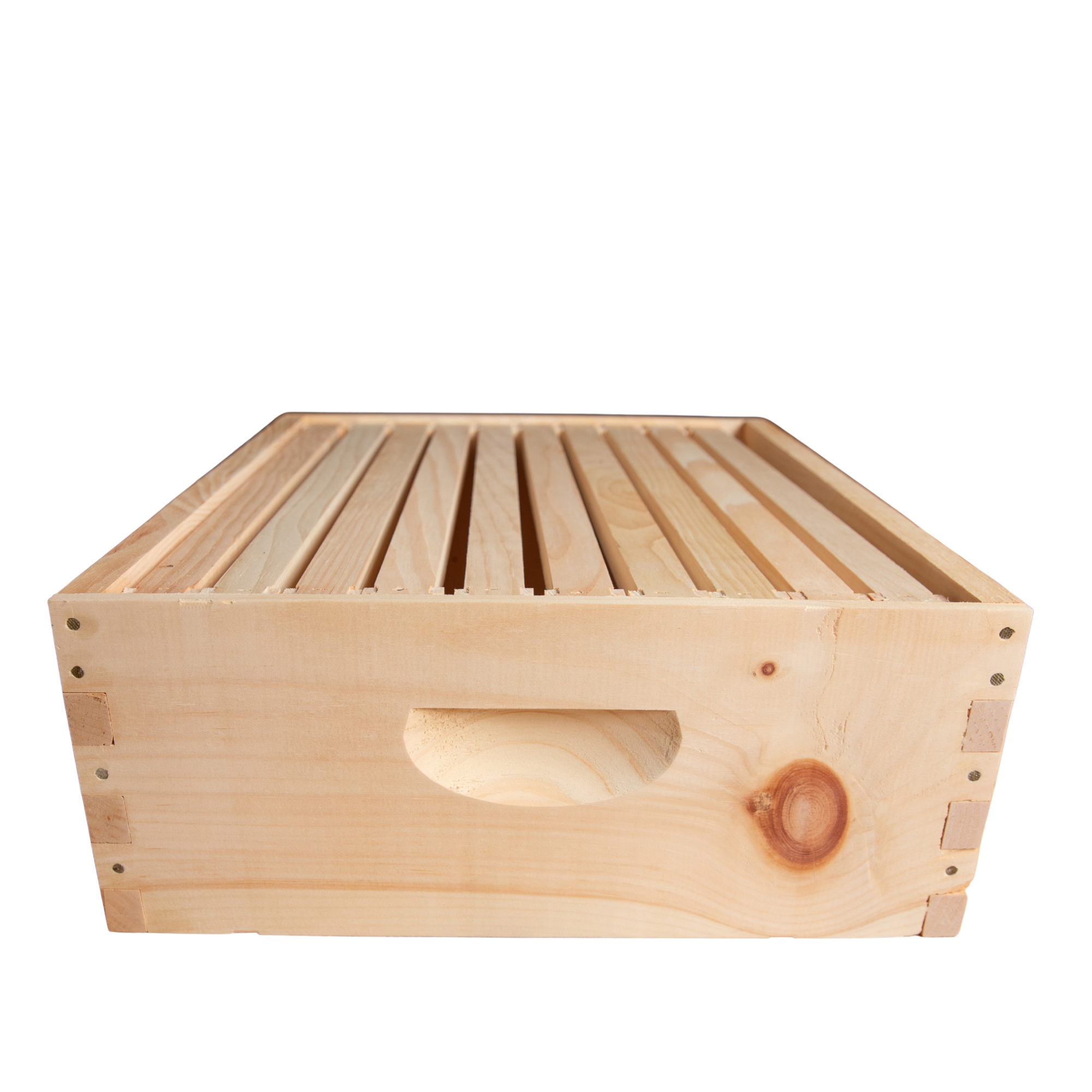 10f medium A w frames.PNG