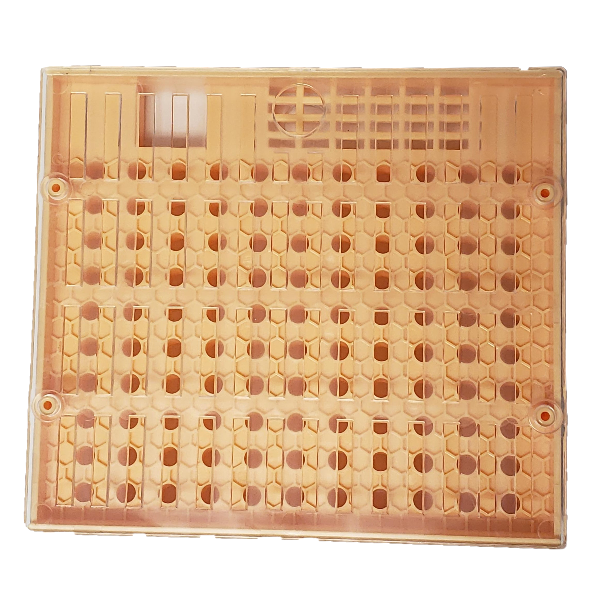 Cell Grid 600-600.png