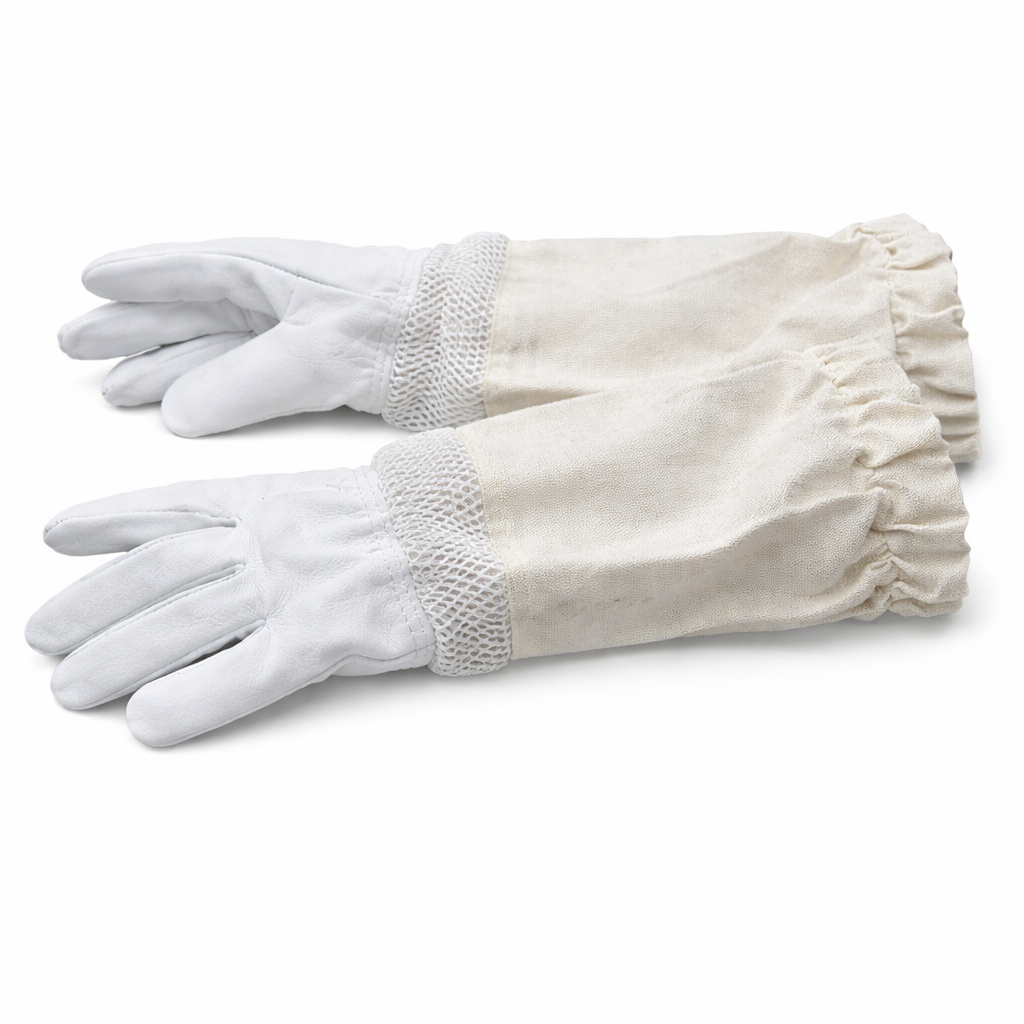 gloves.png
