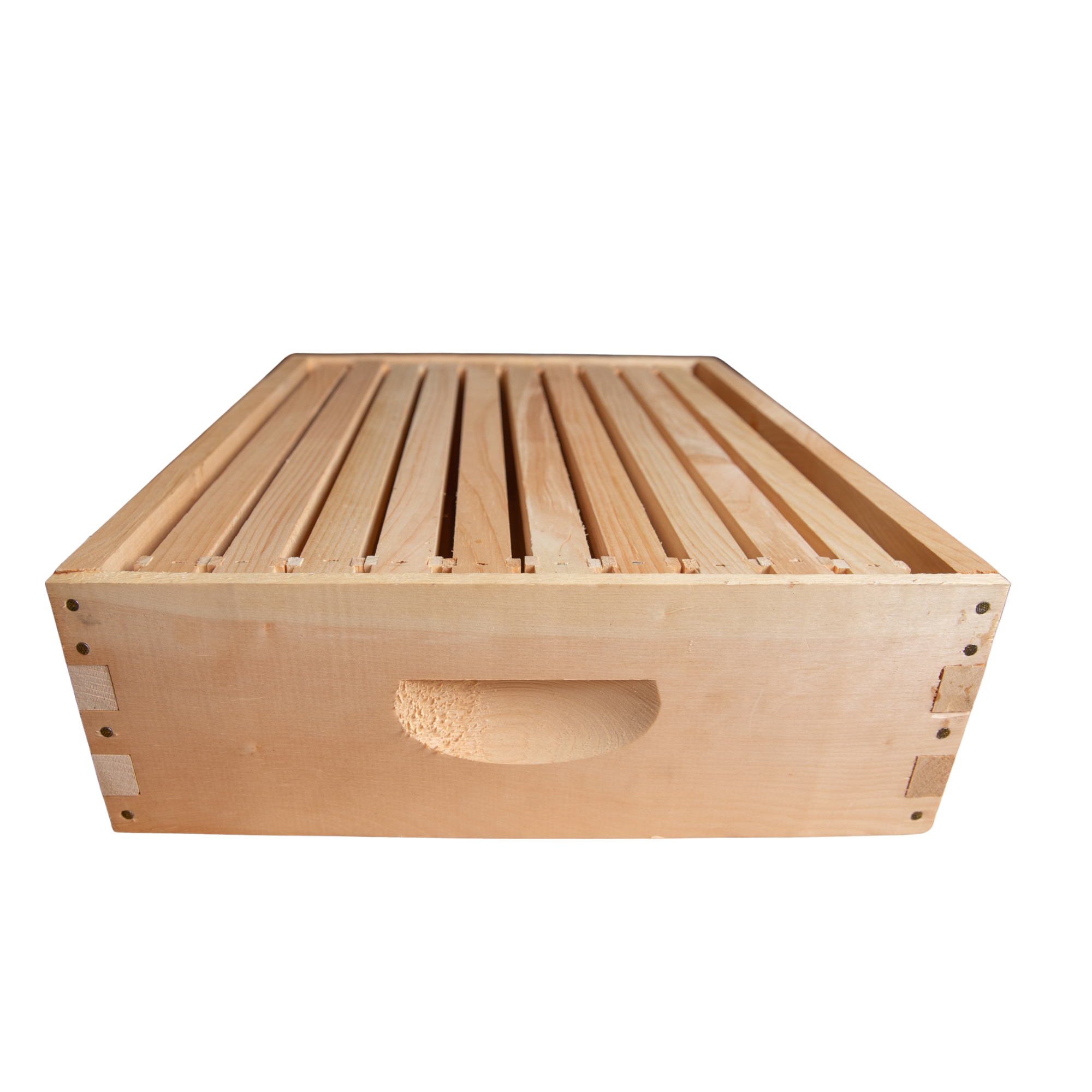 10f medium w frames.PNG