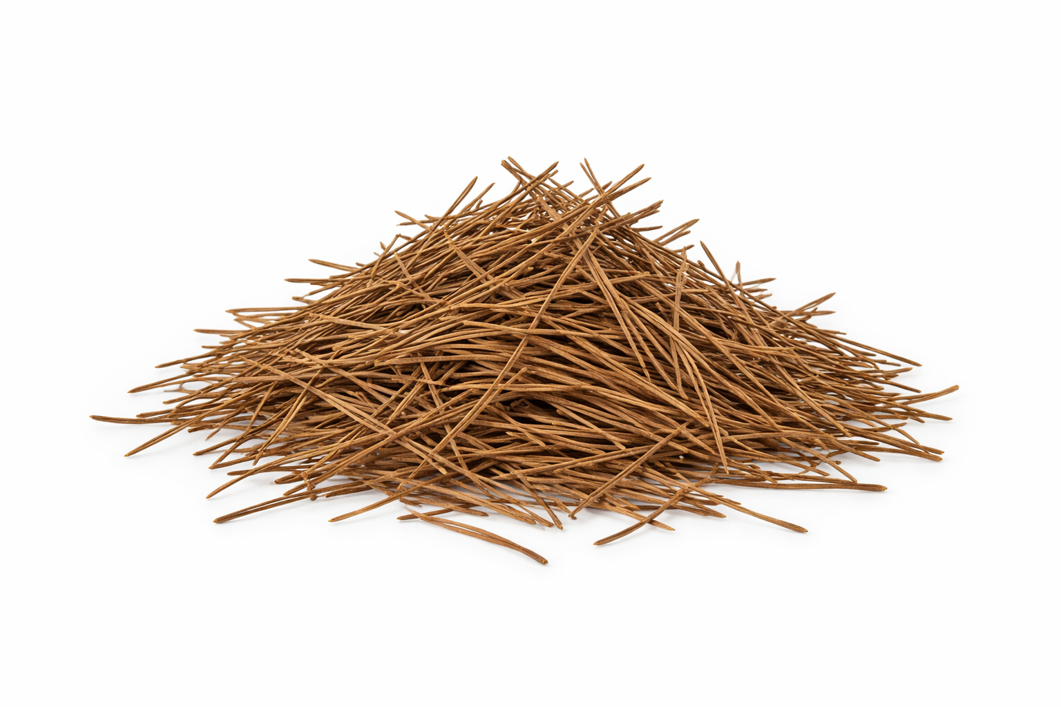 Pine needles.png