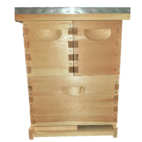 resource hive 1 600-600.png