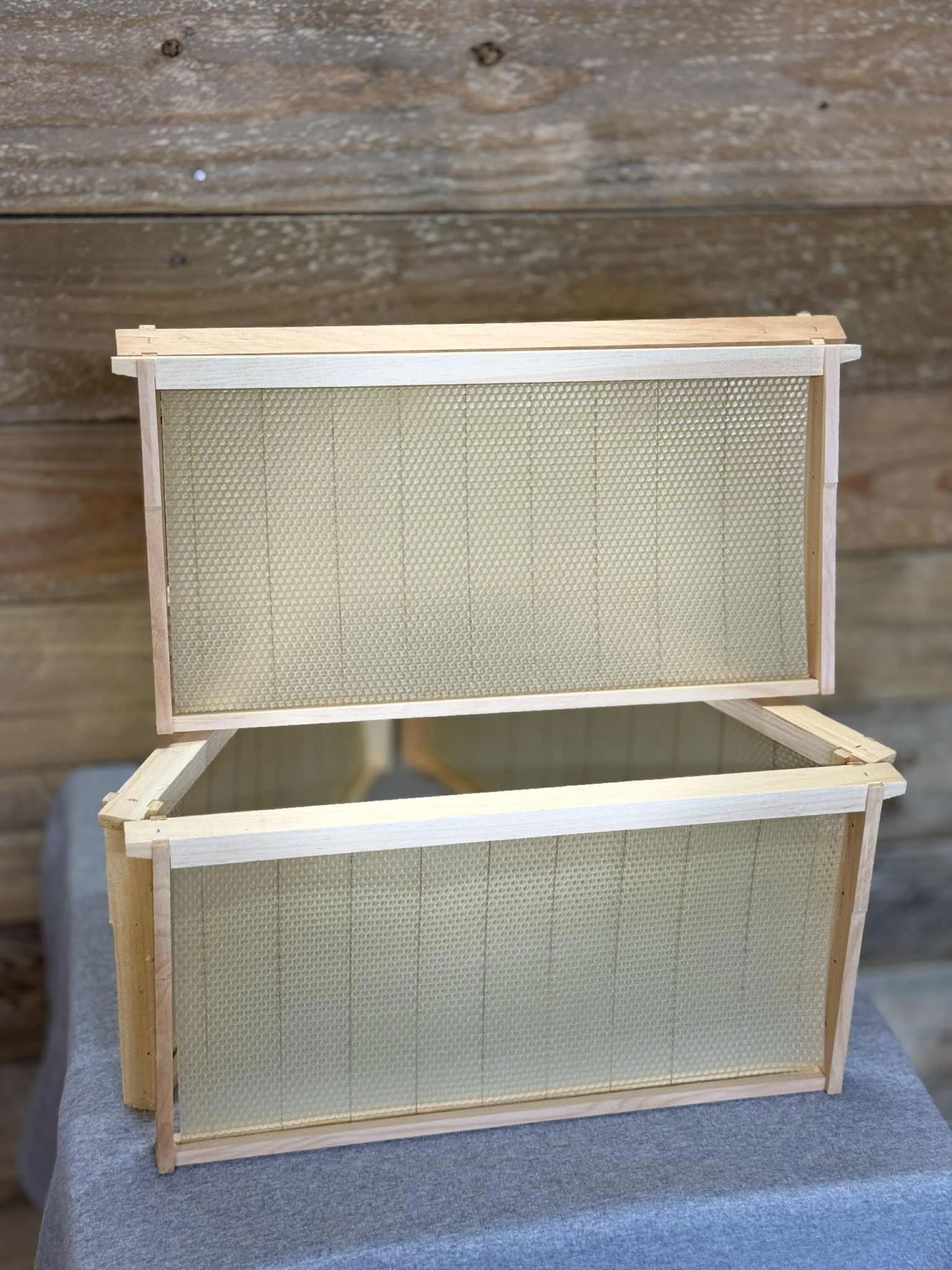 Frame w/ Installed Wax Foundation