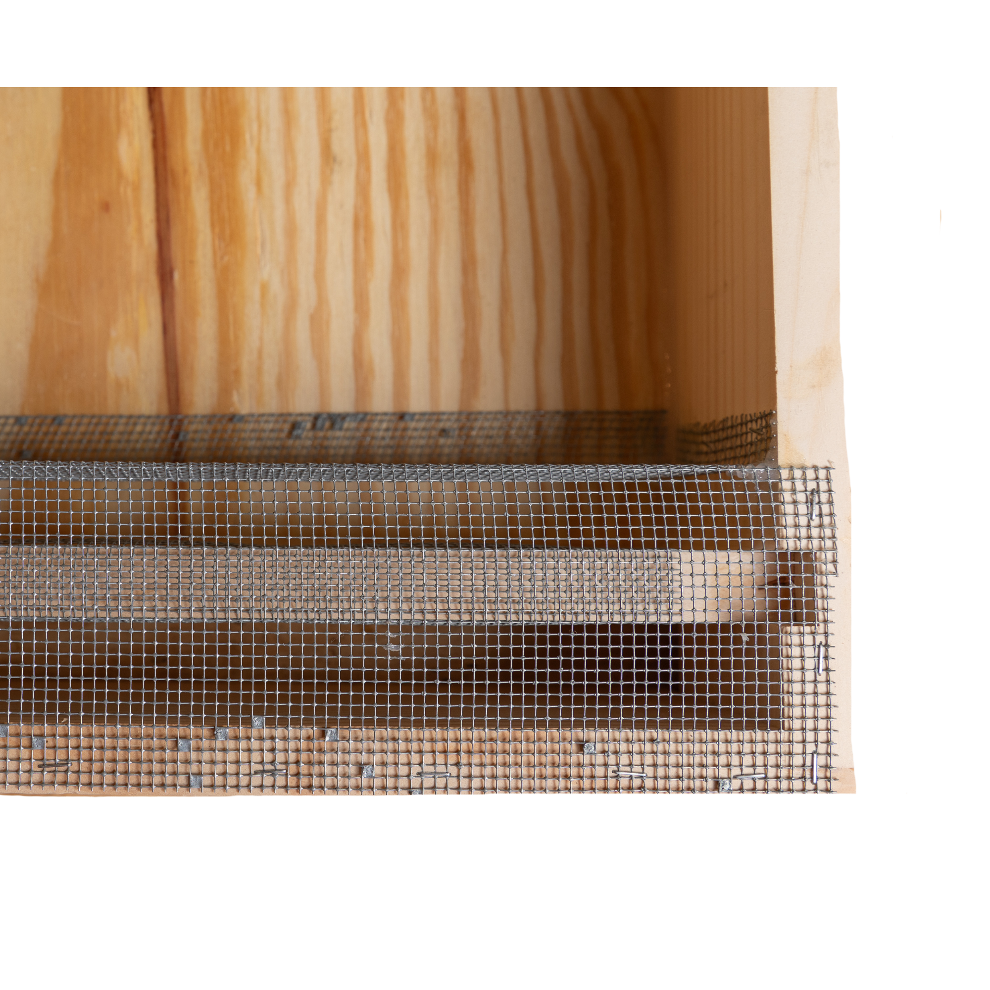 hivetop feeder detail.png