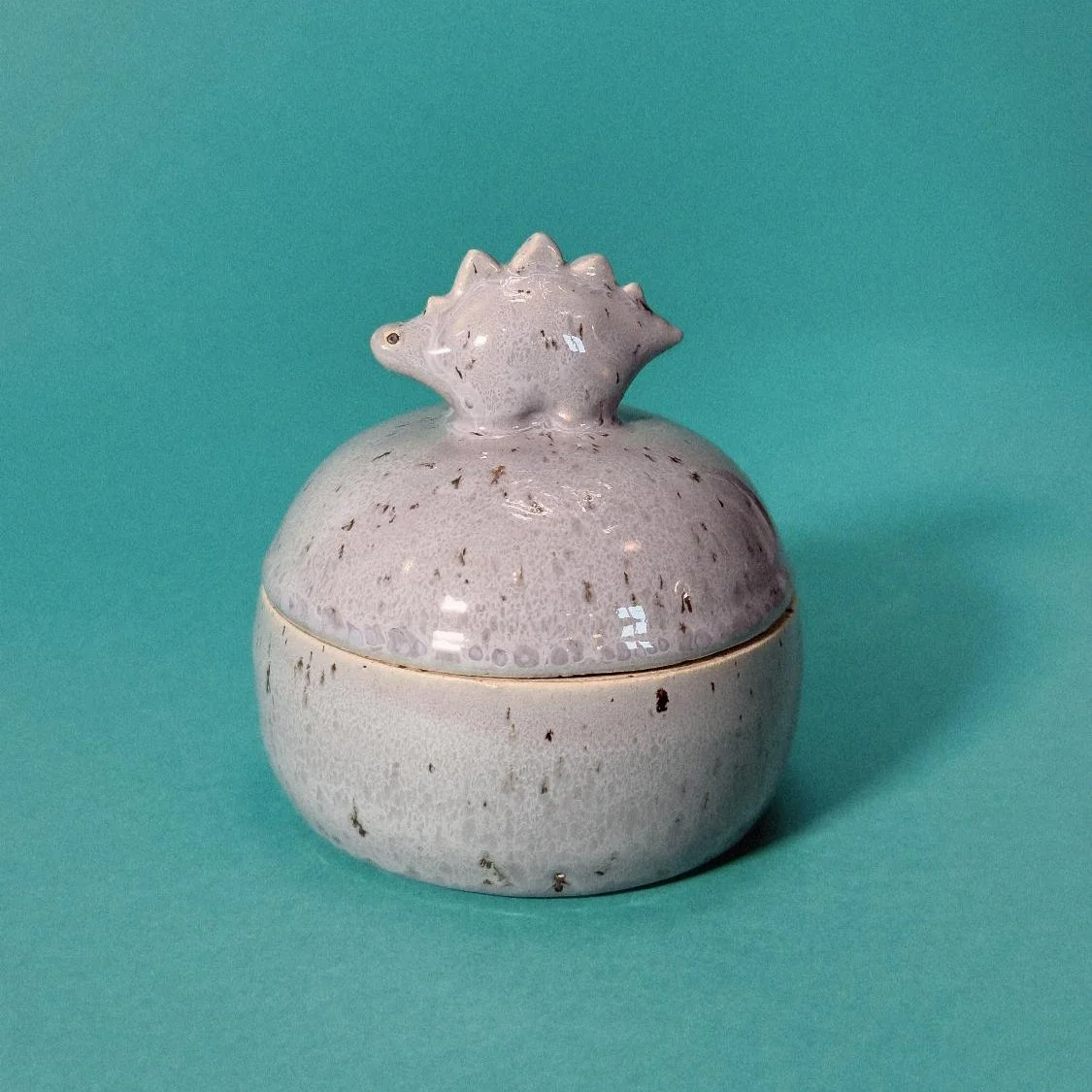 Photo 25-02-2025 11 46 33 copie.jpg