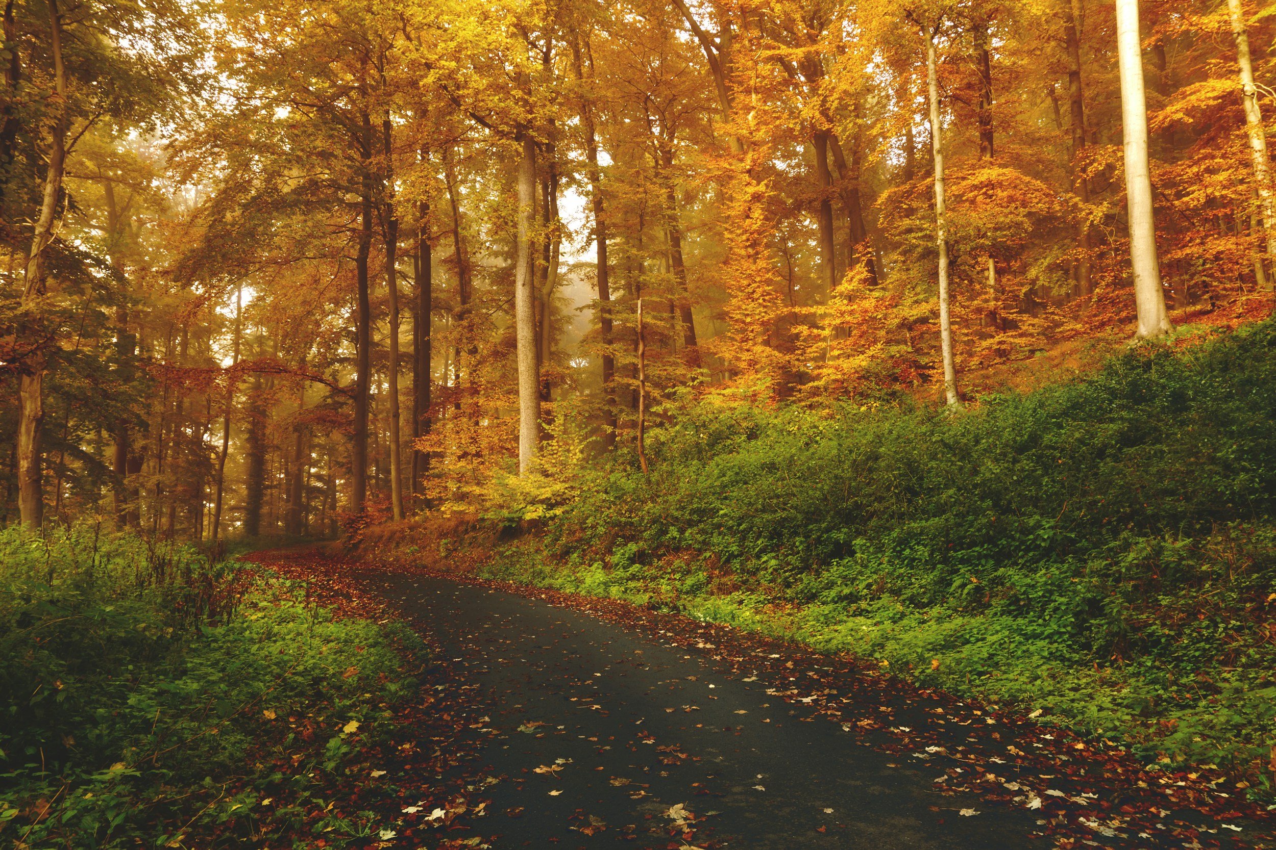 Navigating Midlife: Week 1