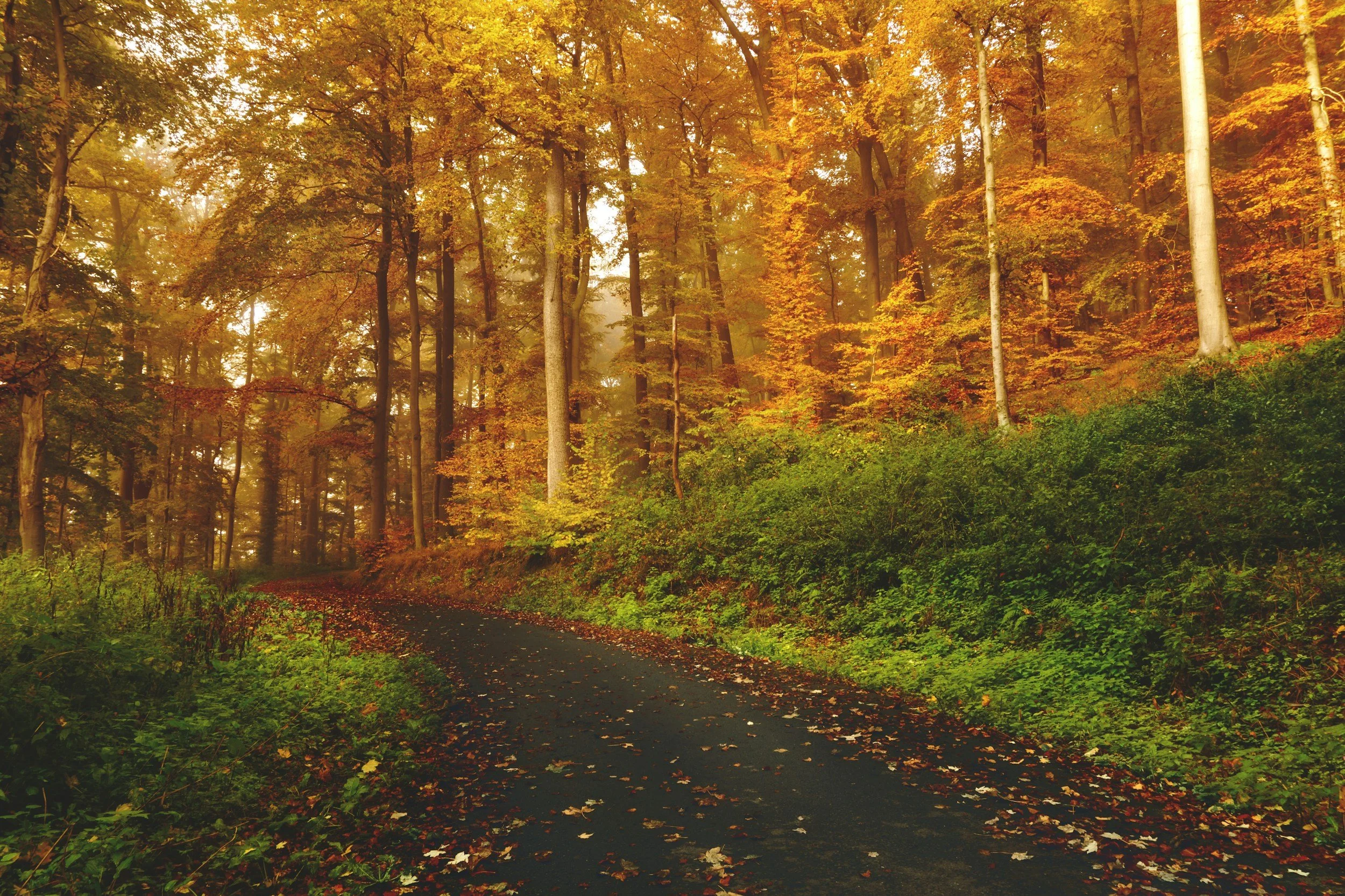 Navigating Midlife: Week 4