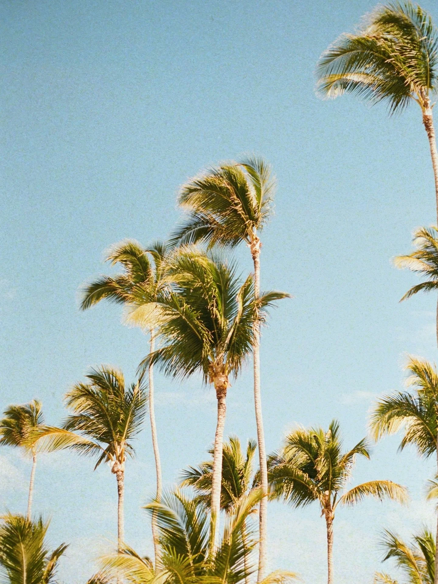 Is it really still January? long, loud, and strangely eternal. But here we are: one day to go.

Here&rsquo;s to fresh pages, brighter mornings, and momentum that feels a bit more&hellip; effortless.

#GuestMarketing #HotelMarketing #HospitalityMarket