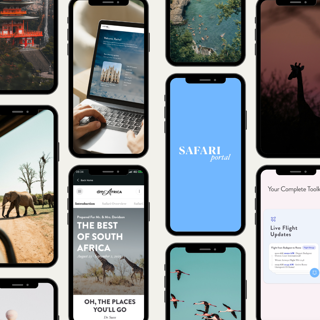 travel marketing agency