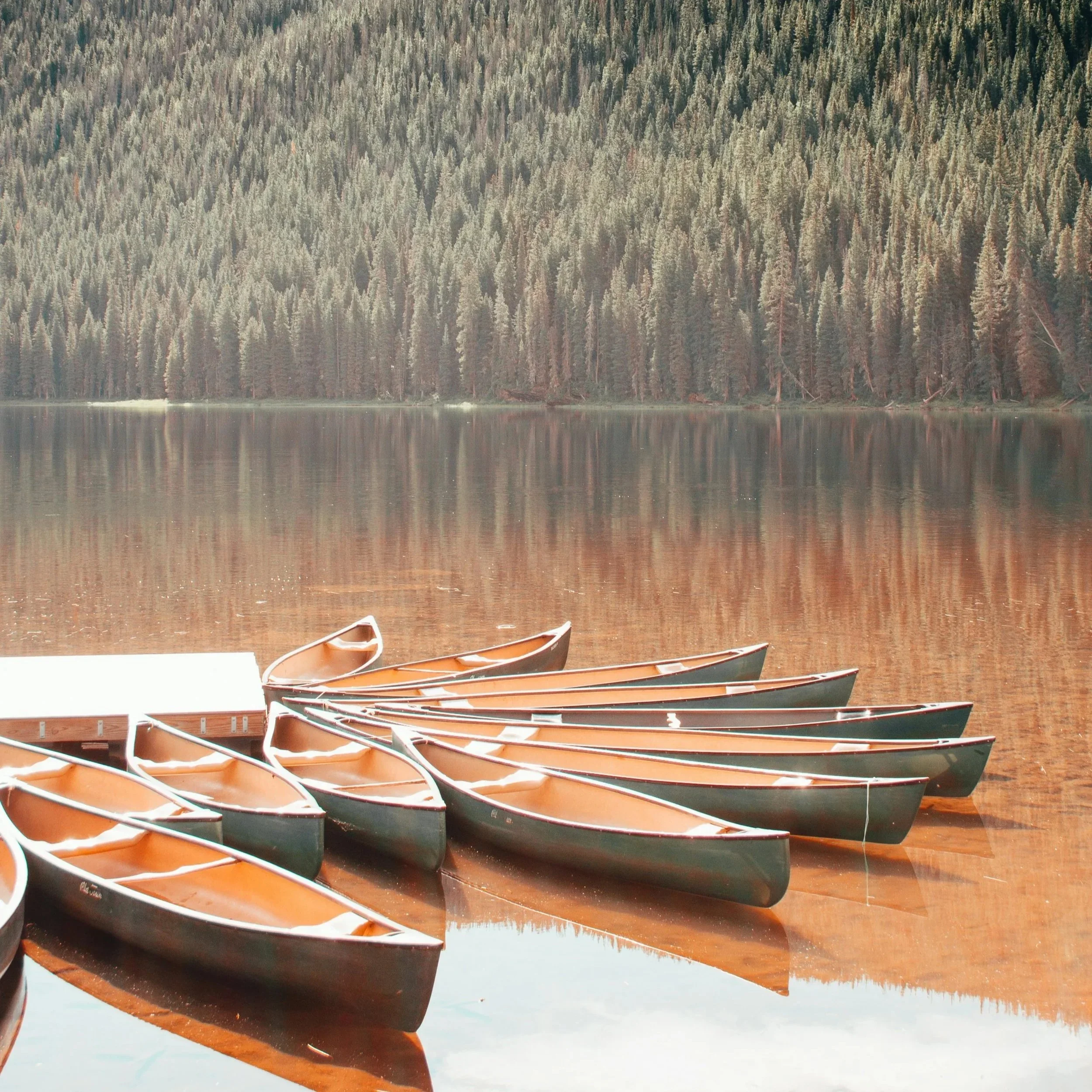 travel marketing agencies