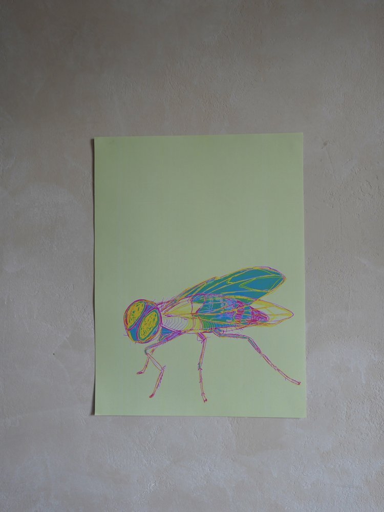 #6 MOSCA