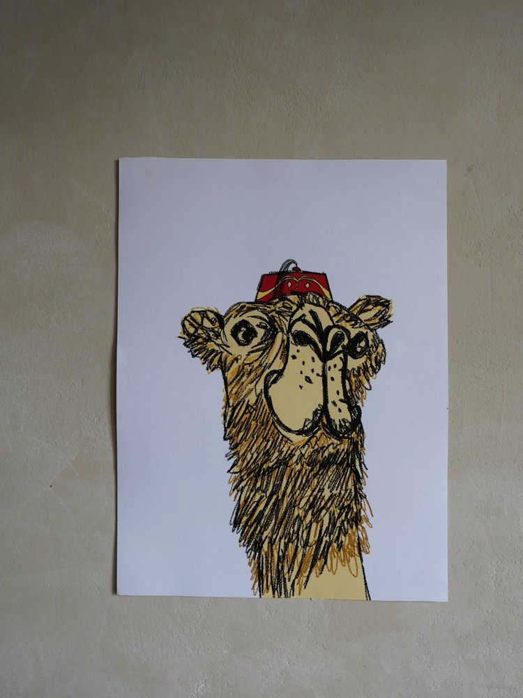 #10 CAMELLO