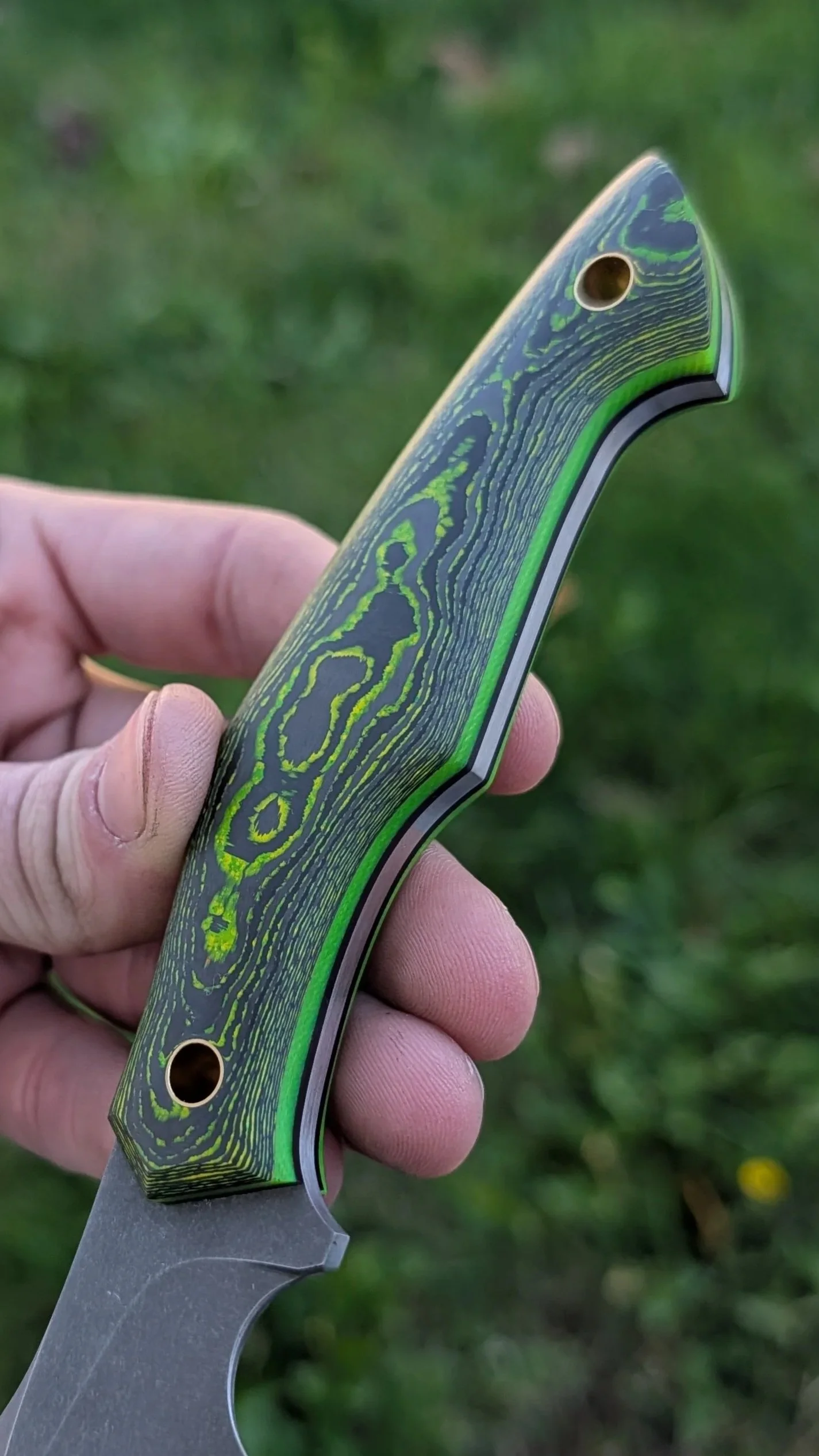 4170.jpg