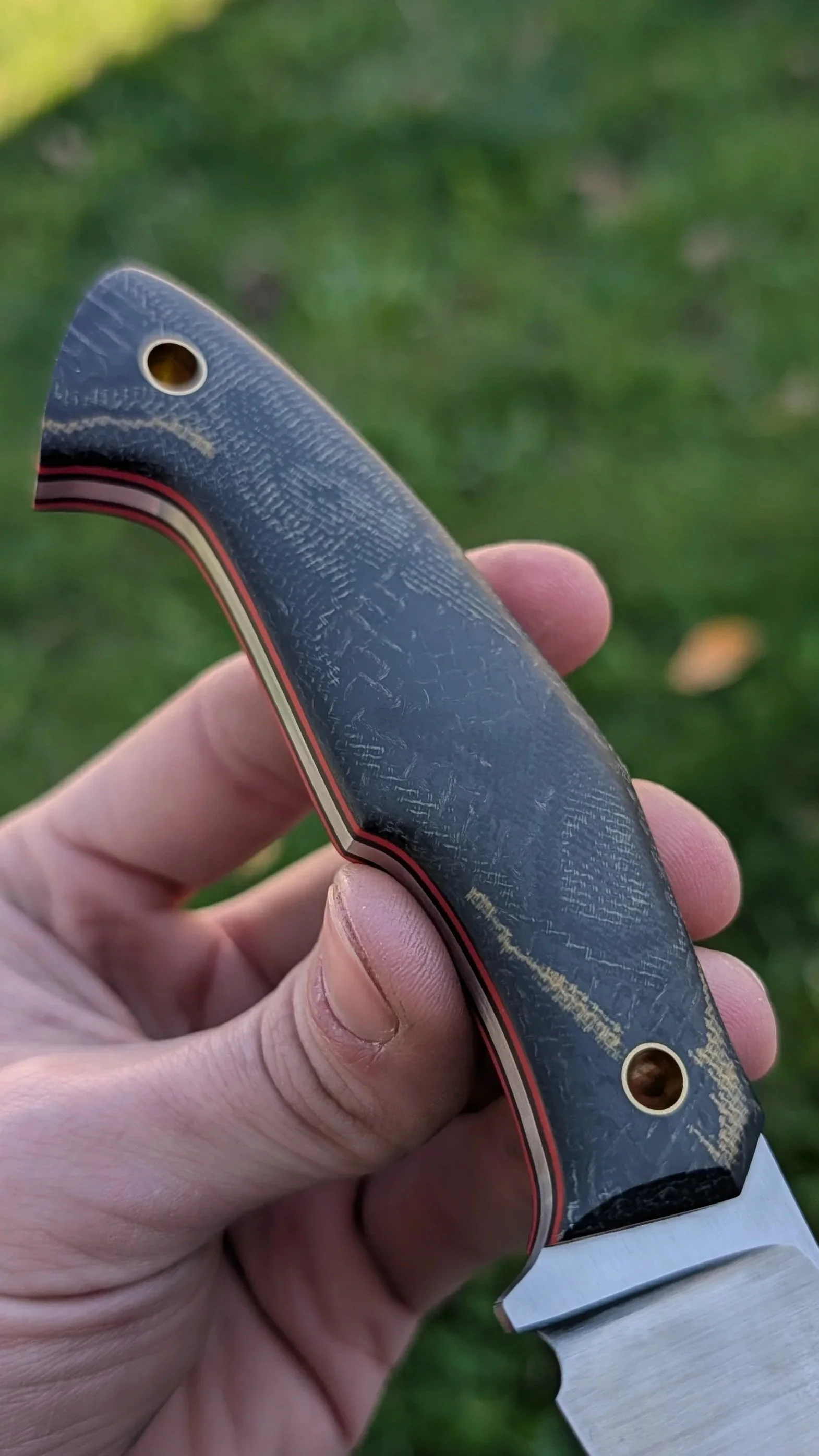 4178.jpg