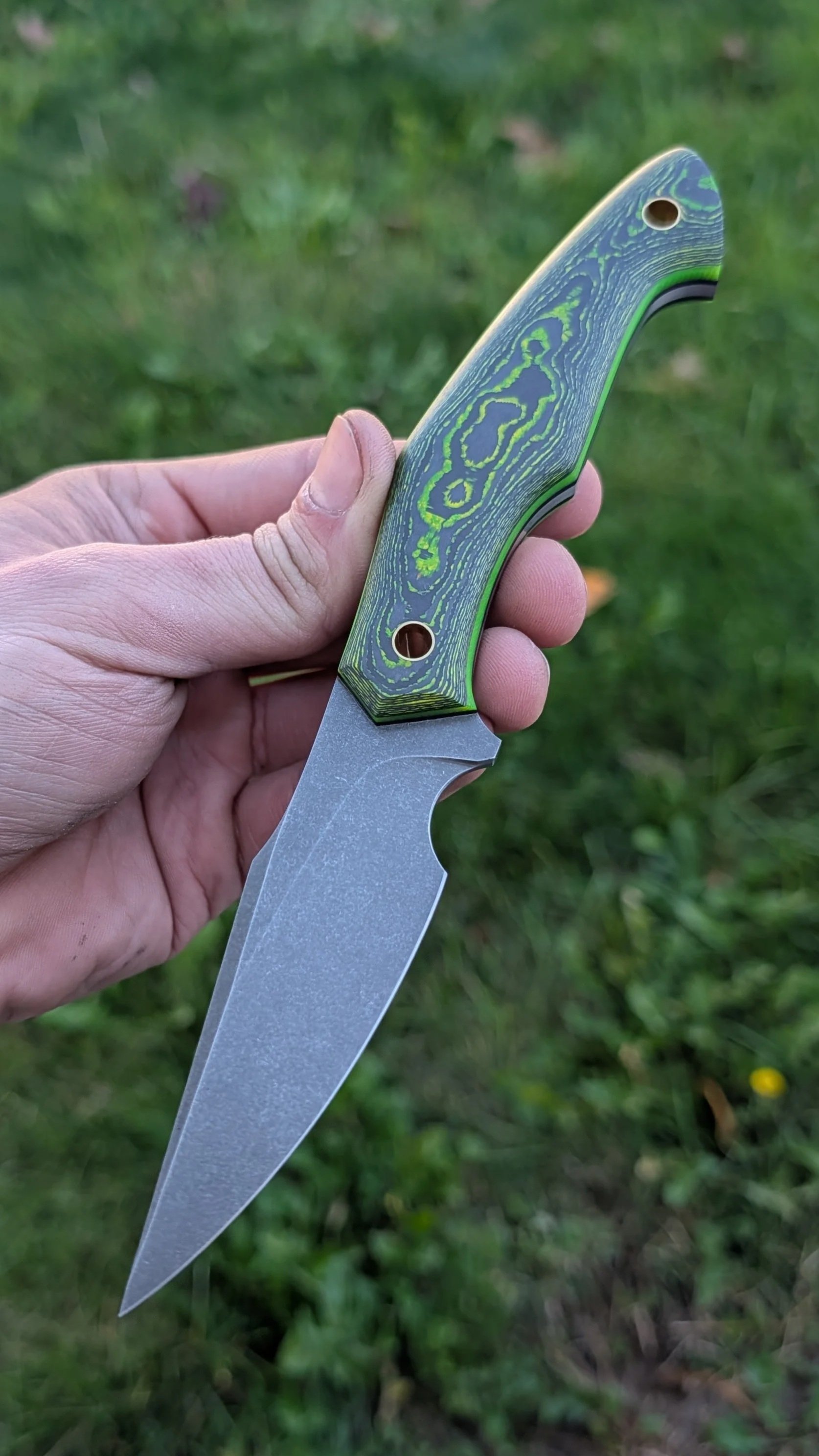 4169.jpg