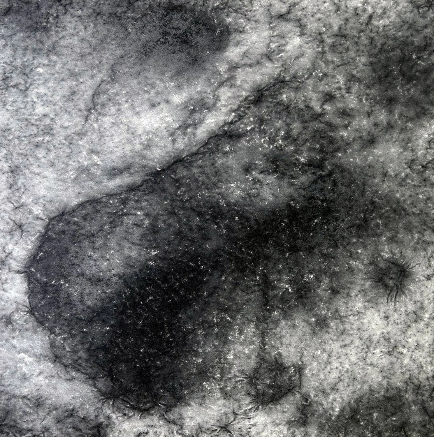 Stone Mtn III.jpg