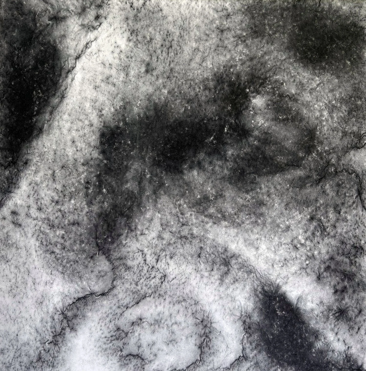 Stone Mtn I.jpg