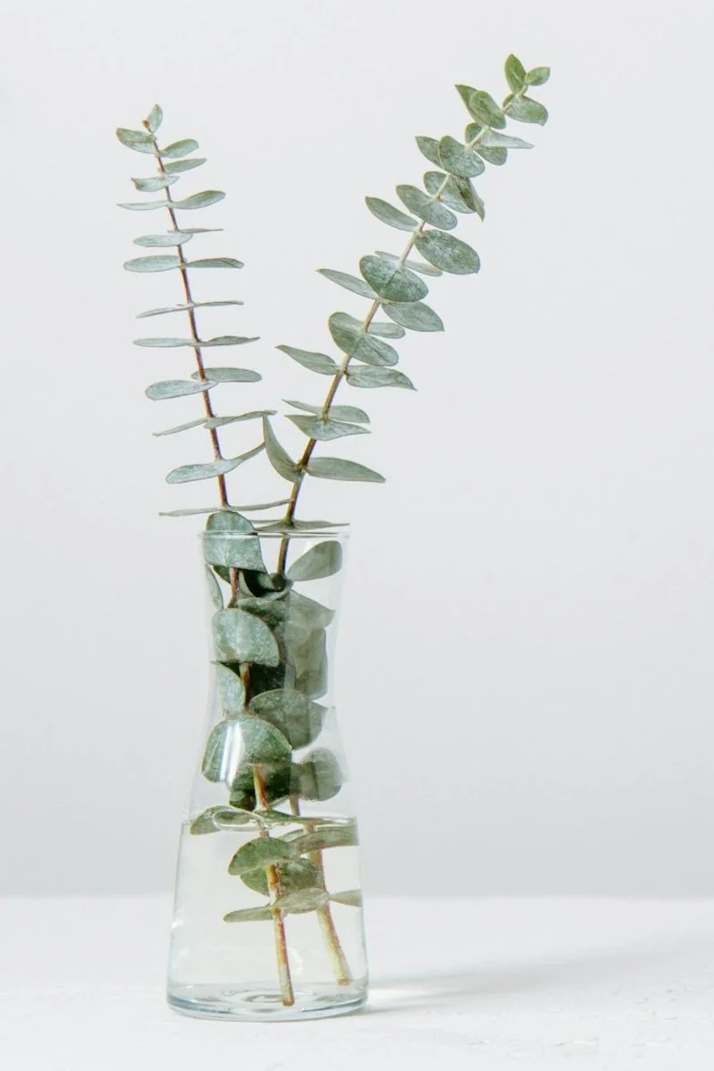 spring cleaning clean fresh refresh