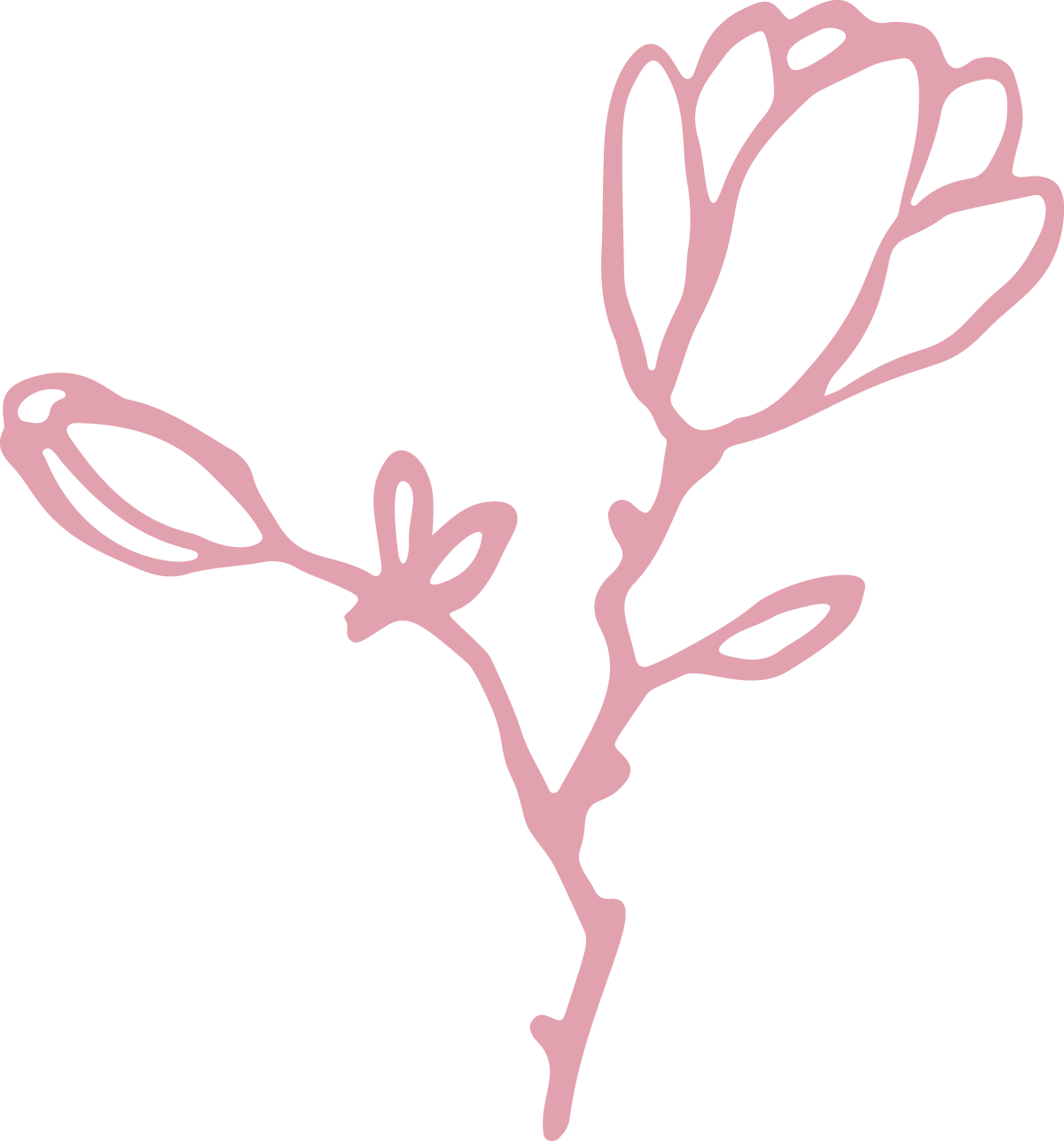 A simple, stylized pink outline of a branch with a flower and leaves on a black background.