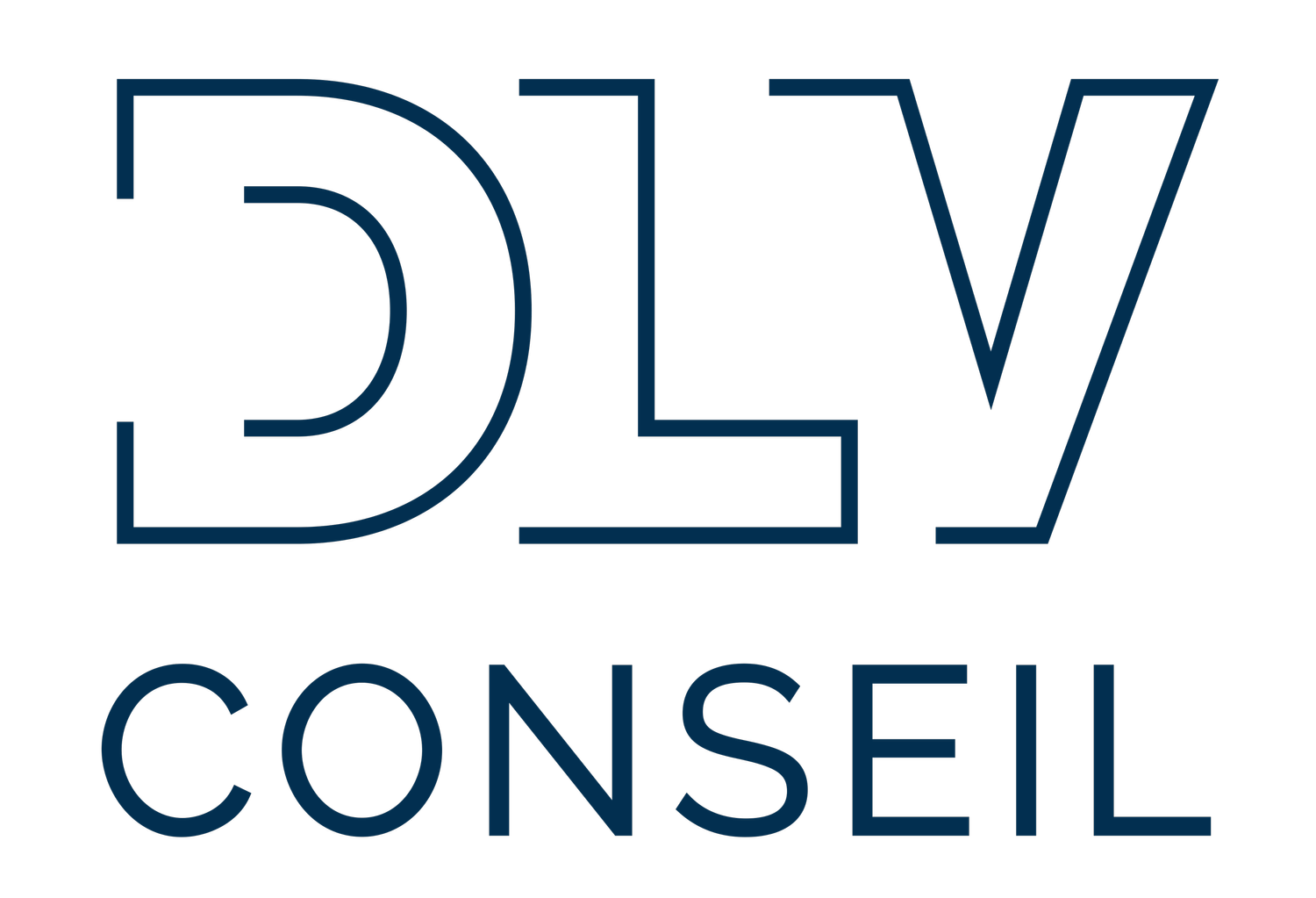 DLV Conseil