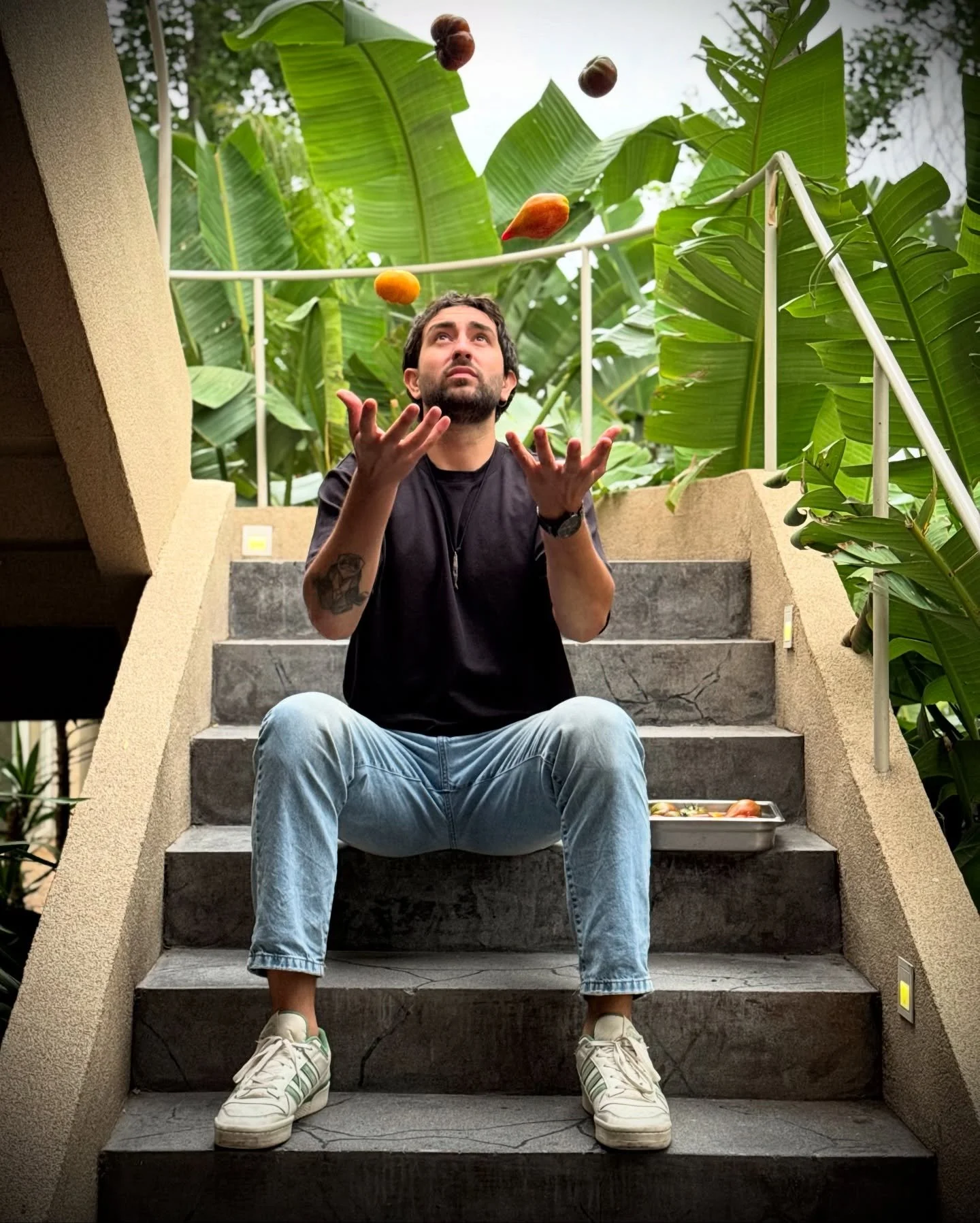 Pensando en tomates, los primeros.
@donpachoproduccion