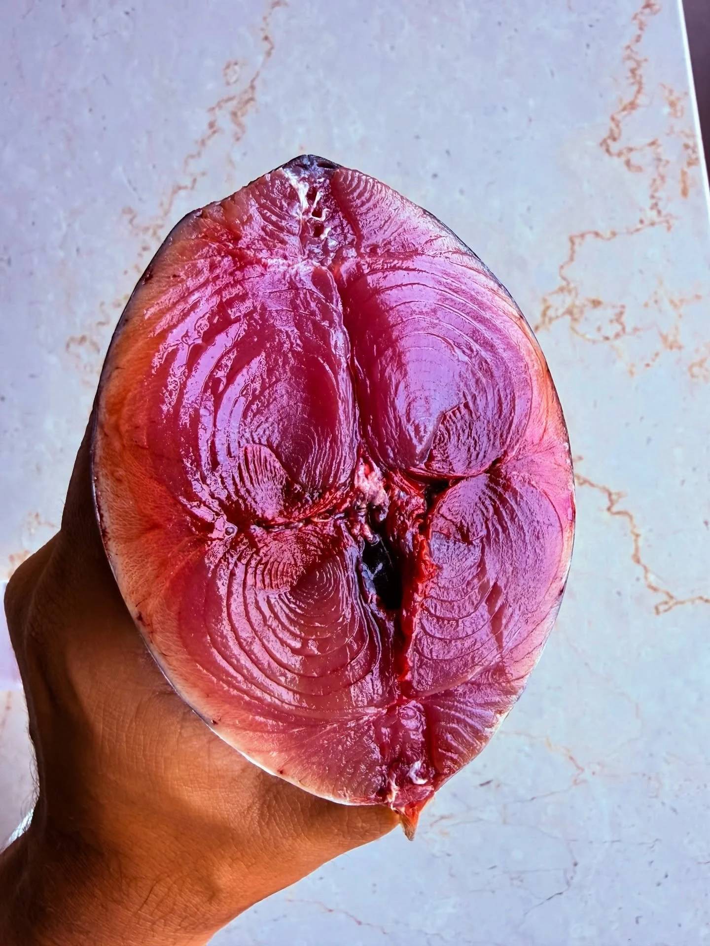 At&uacute;n barrilete que nunca hab&iacute;a trabajado, Darne de chernia, mejiLLon, un lomo alto de mero madurado y cocido al vapor,que gran gran cocci&oacute;n es el vapor para los pescados. Pieles de pescado secas, lomo de pez lim&oacute;n Ready pa