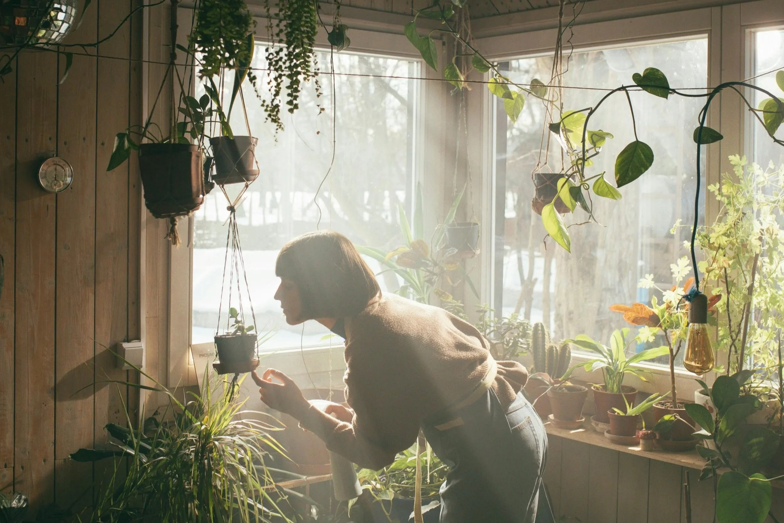 How to Prep Your Cut Flower Garden for Winter: A Complete Guide