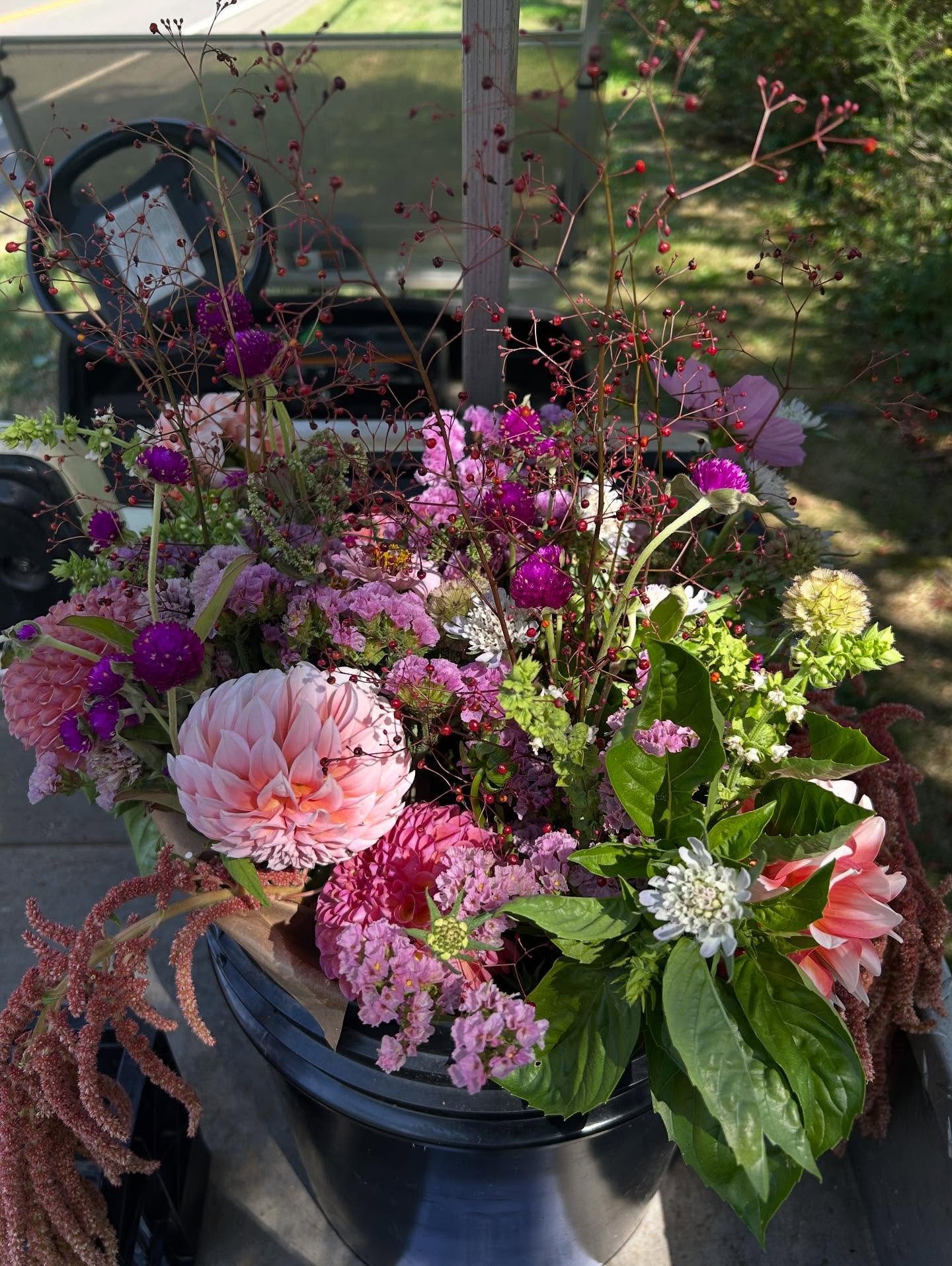 Out at the Briar ✨

#thebriar #woodbridgect  #ctgrown #farmstand #flowers
