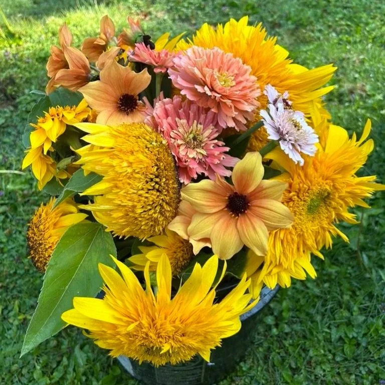 A colorful bouquet of yellow, pink, orange, and white flowers with green leaves.