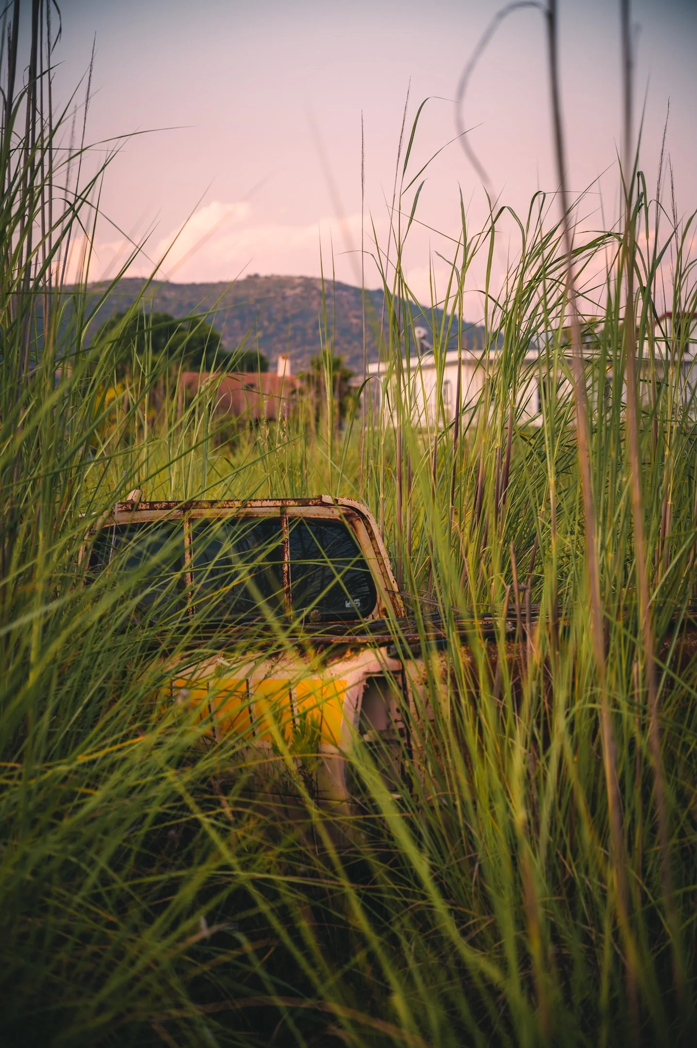 2024-05-18 (4068).jpeg