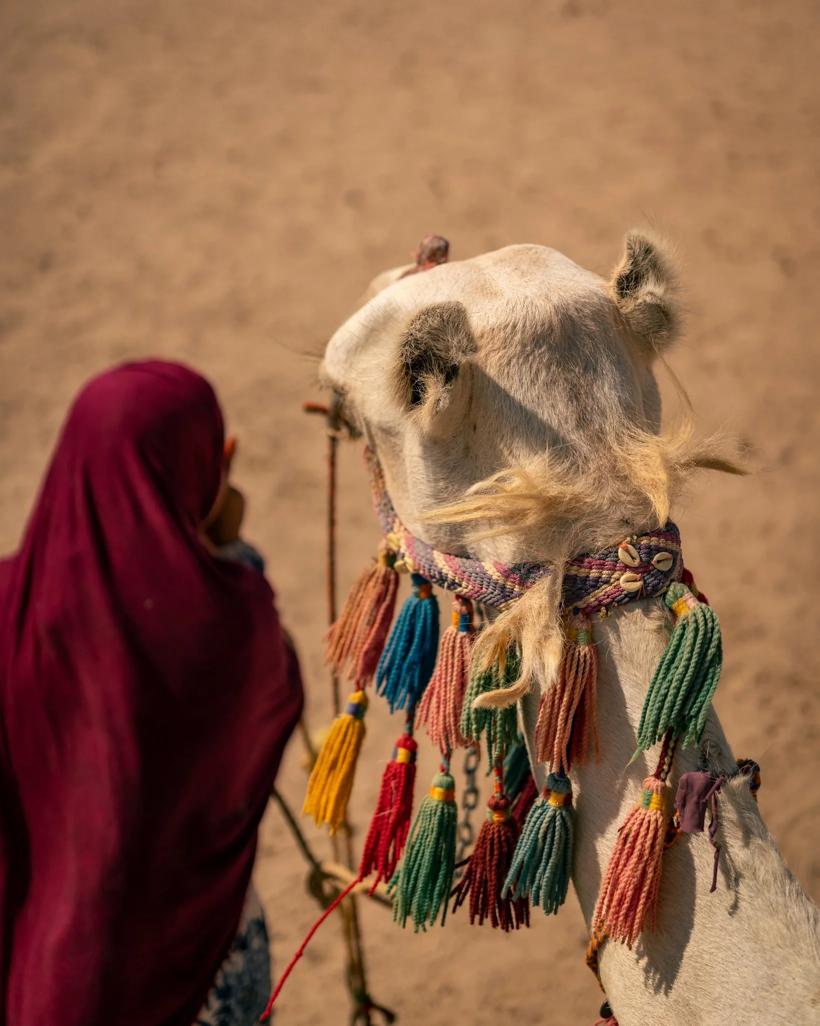 2024-05-18 (6954).jpeg