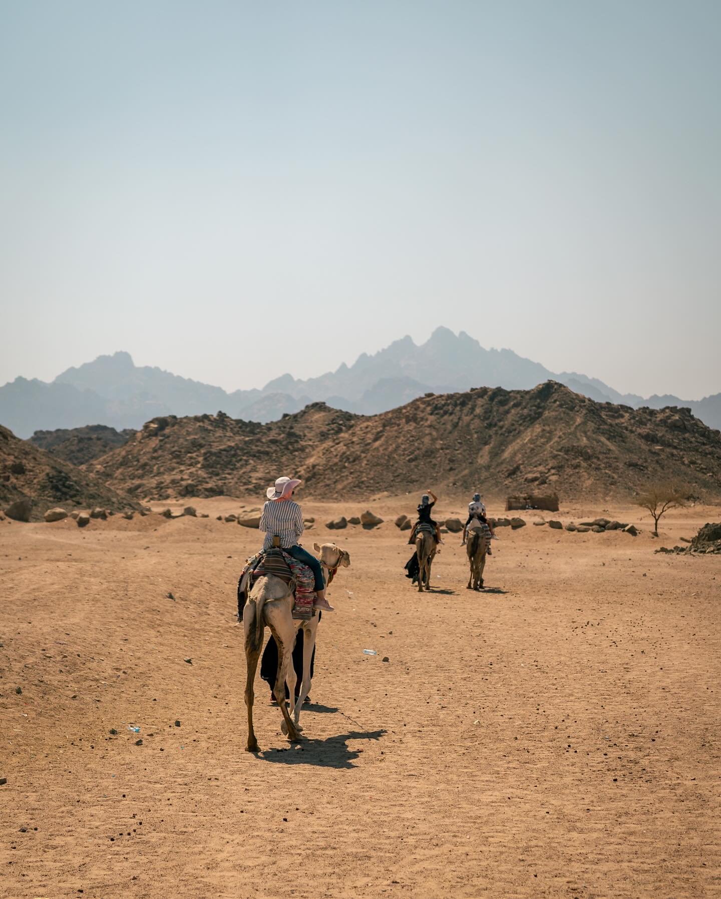 After our thrilling ride into Egypt&rsquo;s heart, we arrived at a small Bedouin village, where life moves at a slower, more peaceful pace. The locals warmly welcomed us, showing their traditions, homes, and their deep connection with the desert.

Ca