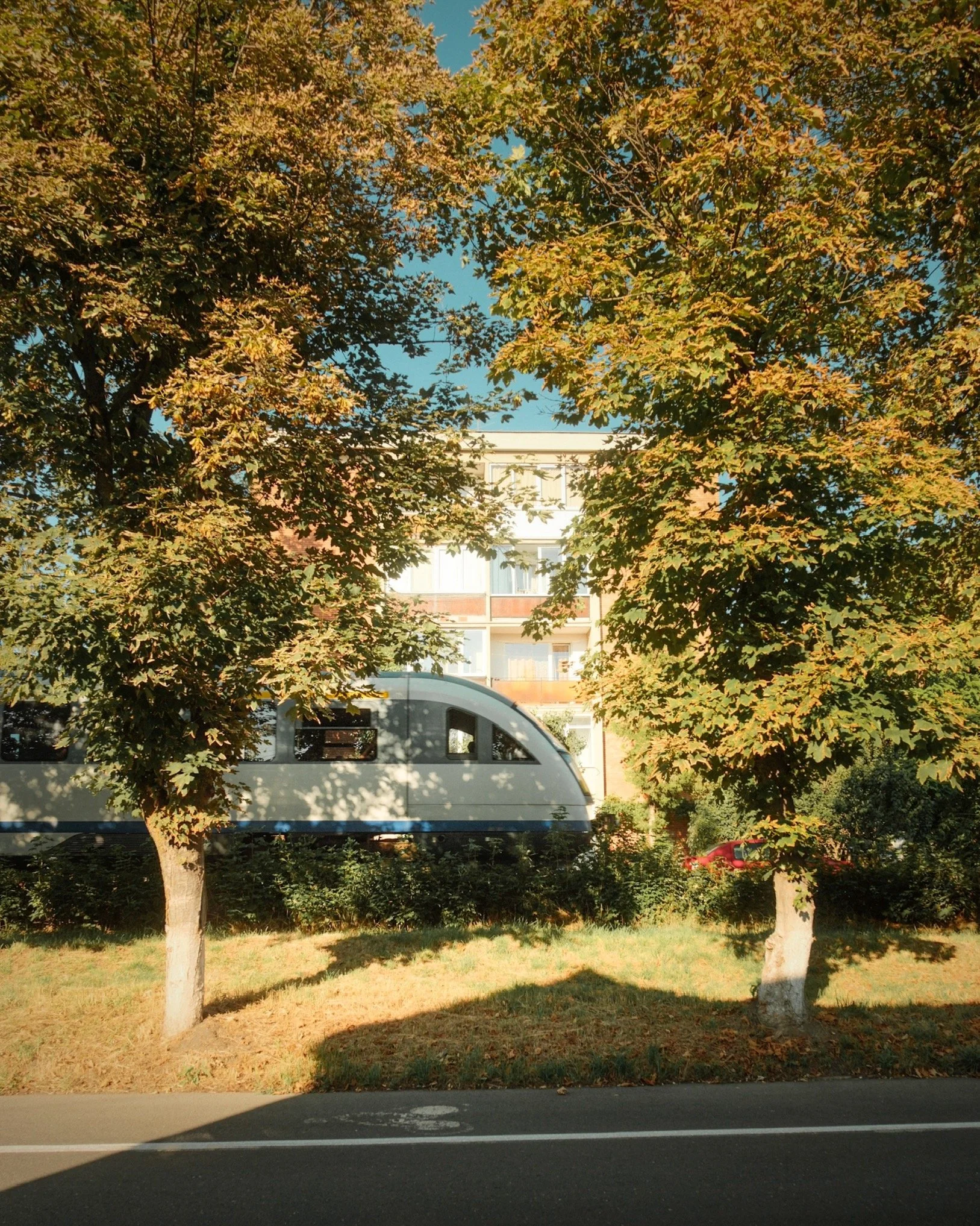 DSCF1740.jpg