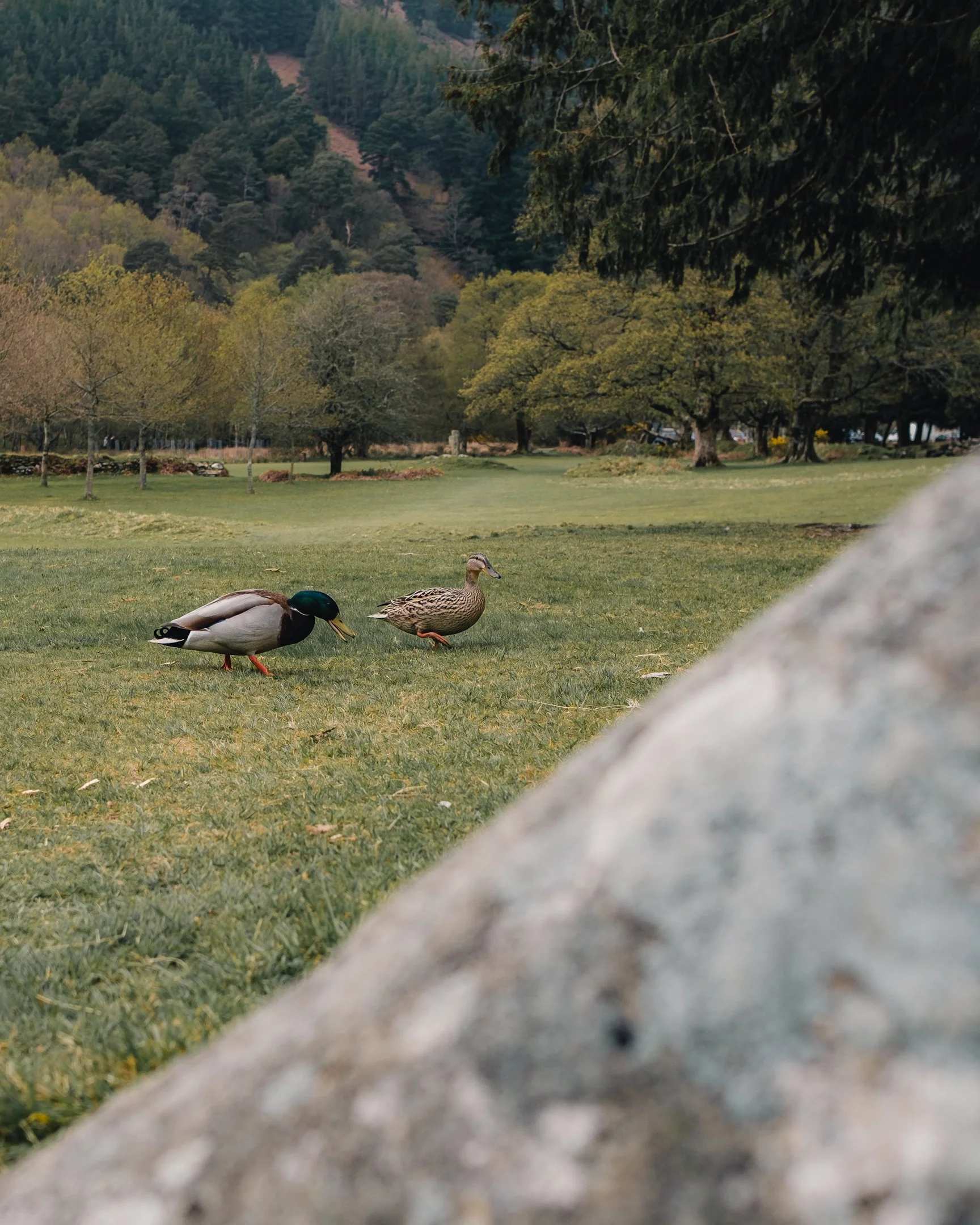 2024-05-18 (4950).jpeg