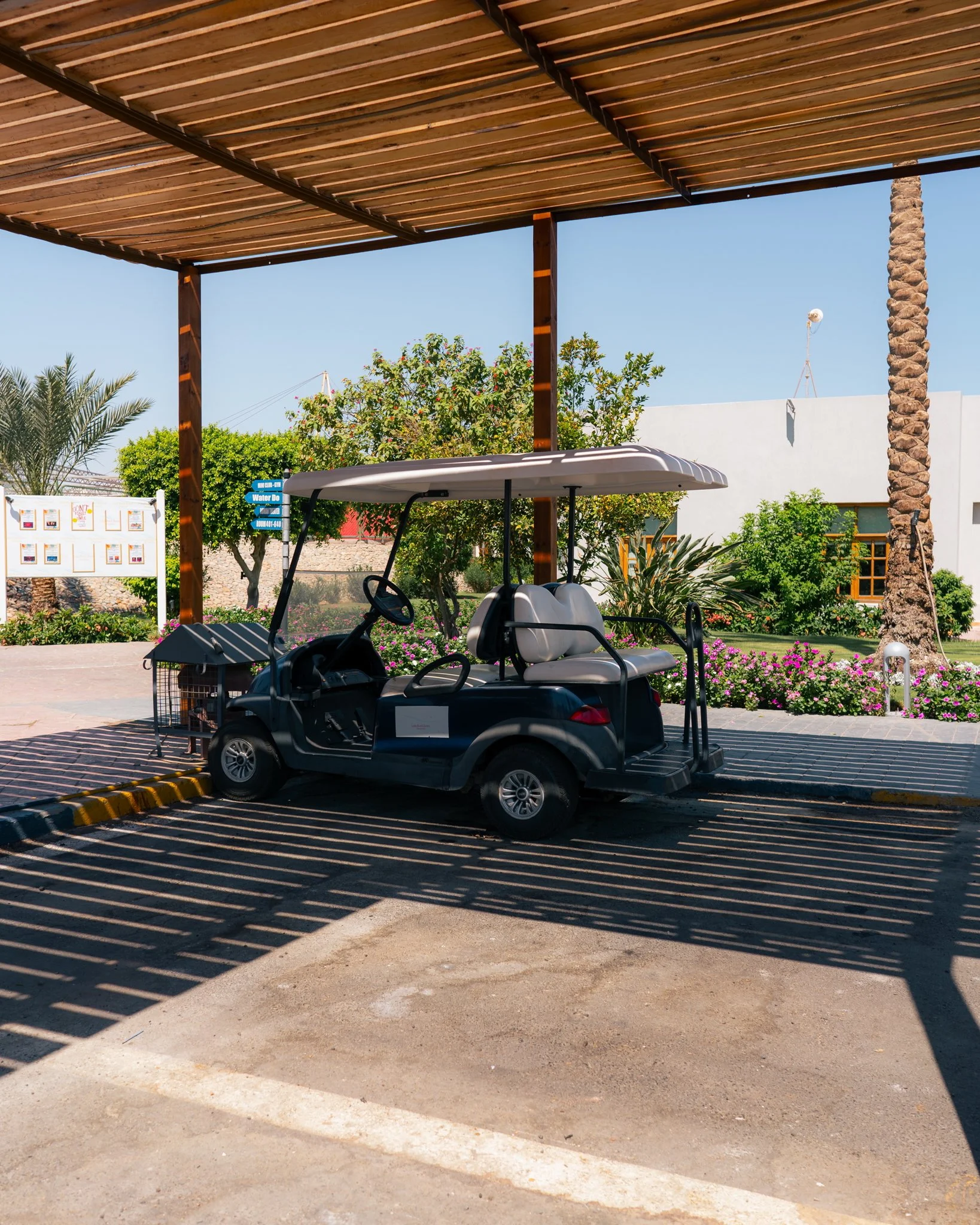 2024-05-18 (6813).jpeg