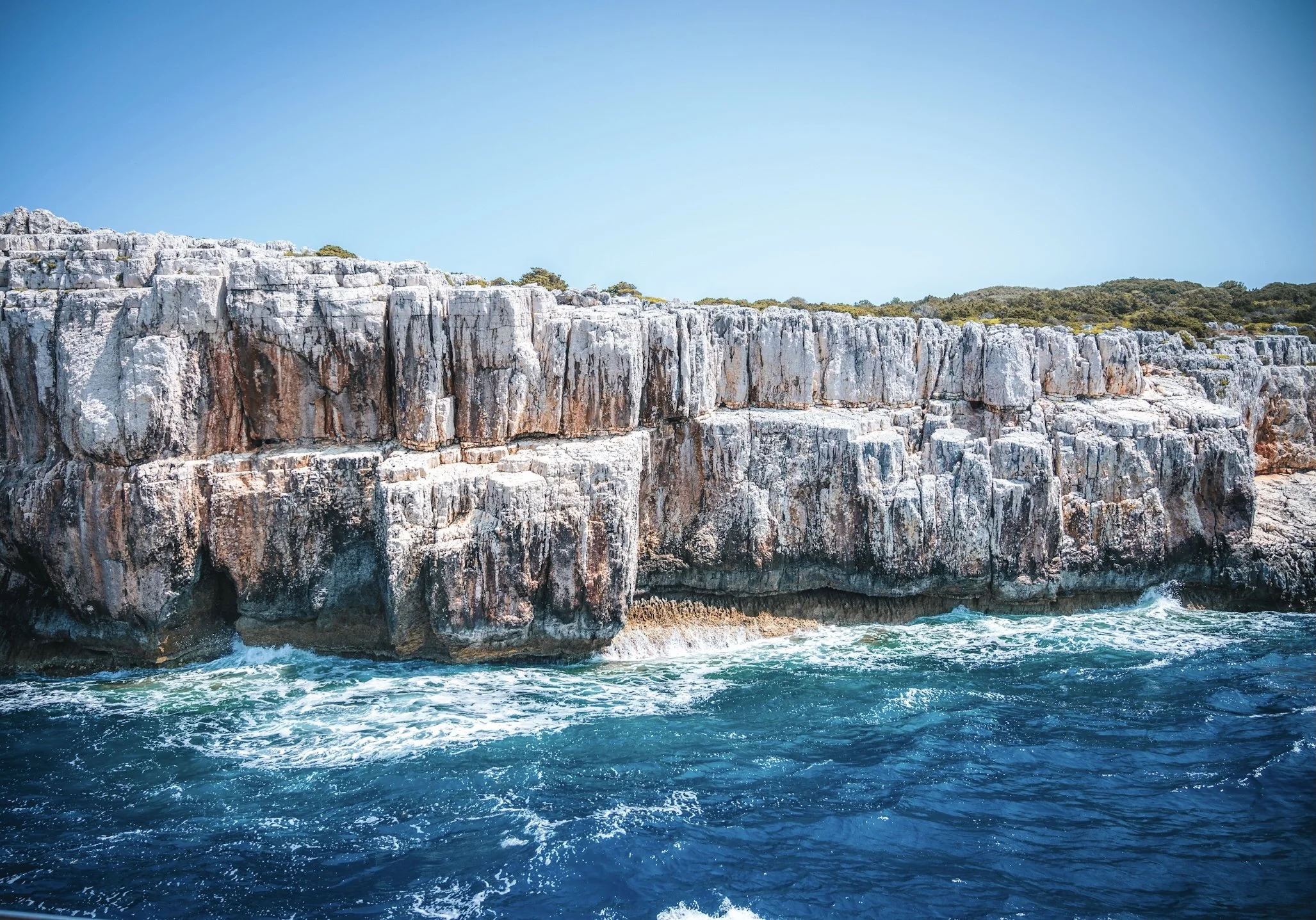 2024-05-18 (4042).jpeg