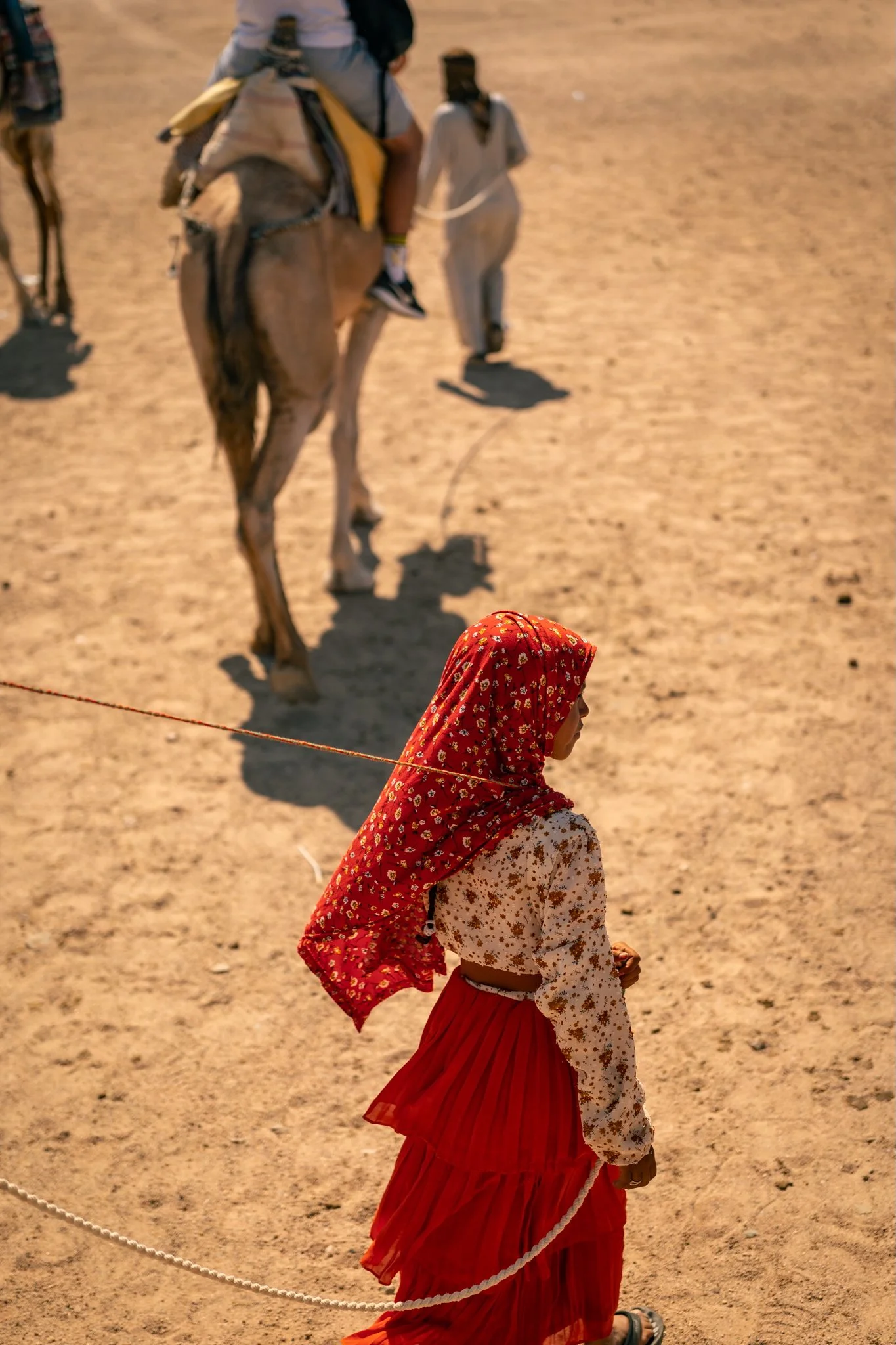 2024-05-18 (6960).jpeg