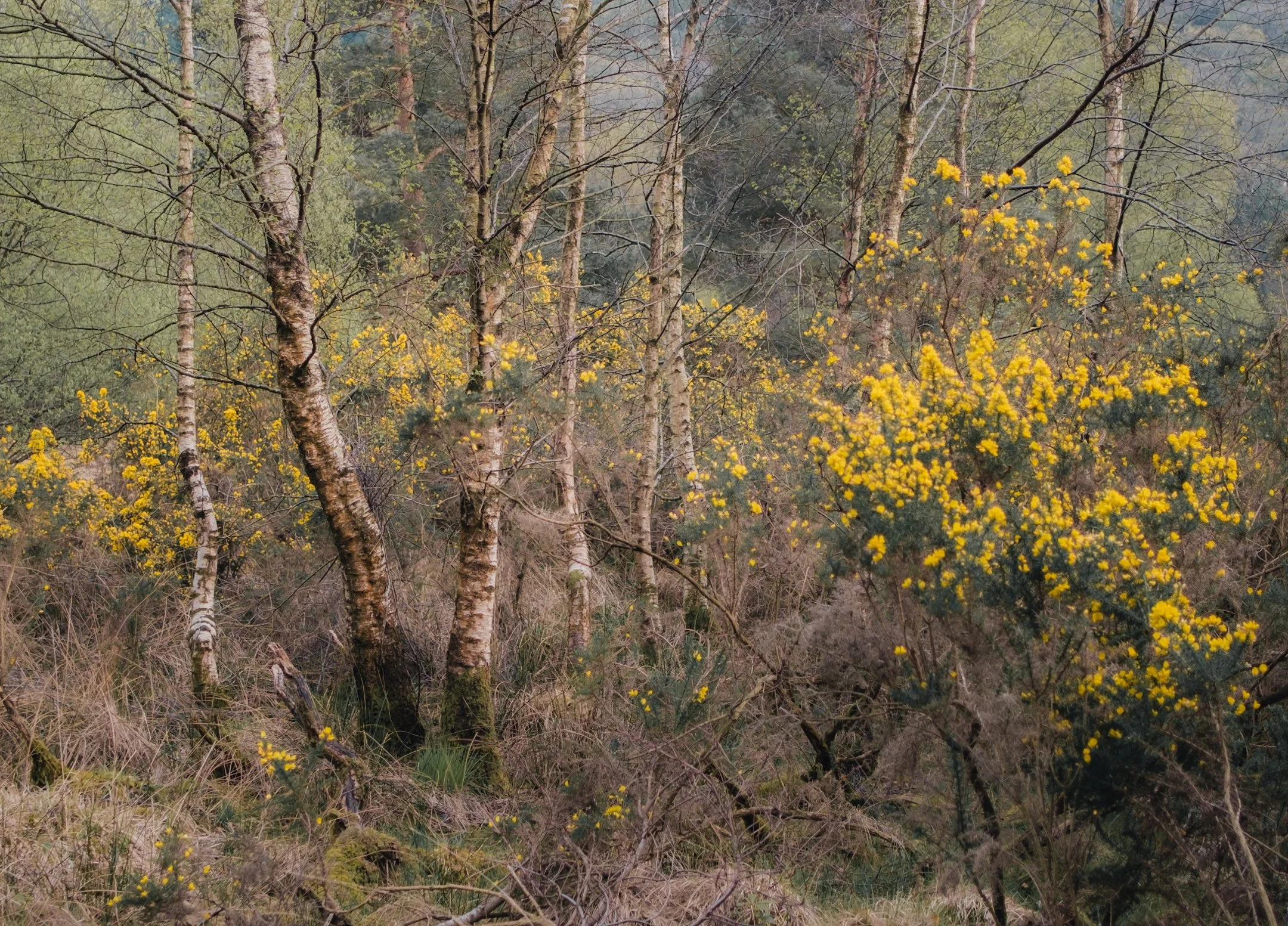 2024-05-18 (4965).jpeg