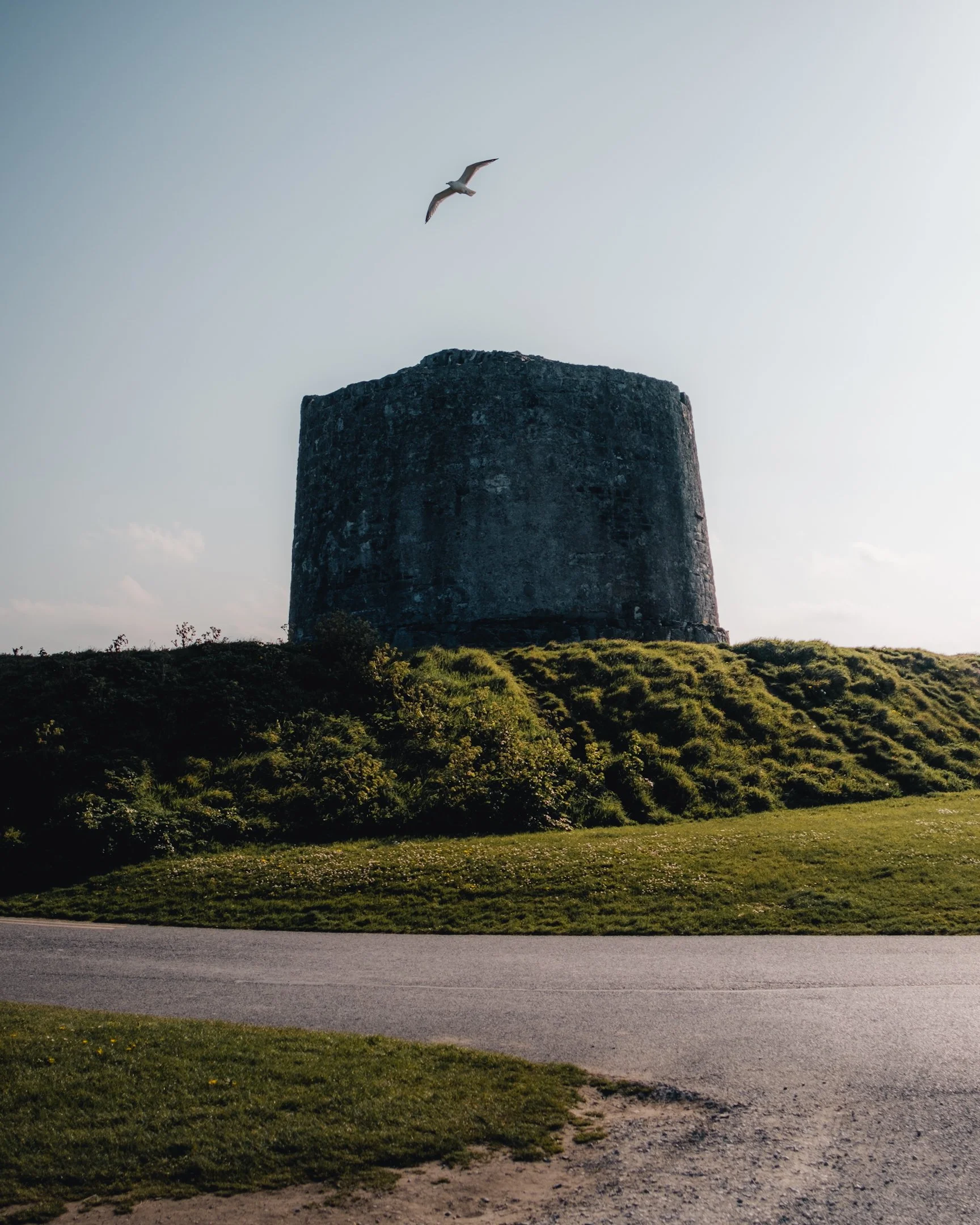 2024-05-18 (4918).jpeg