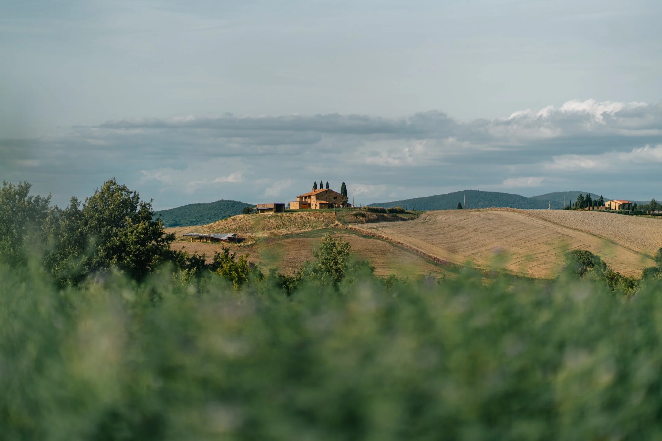 2024-05-18 (5701).jpeg