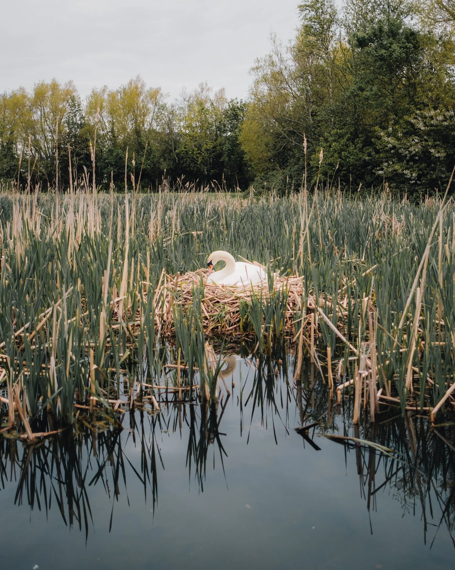 2024-05-18 (5011).jpeg