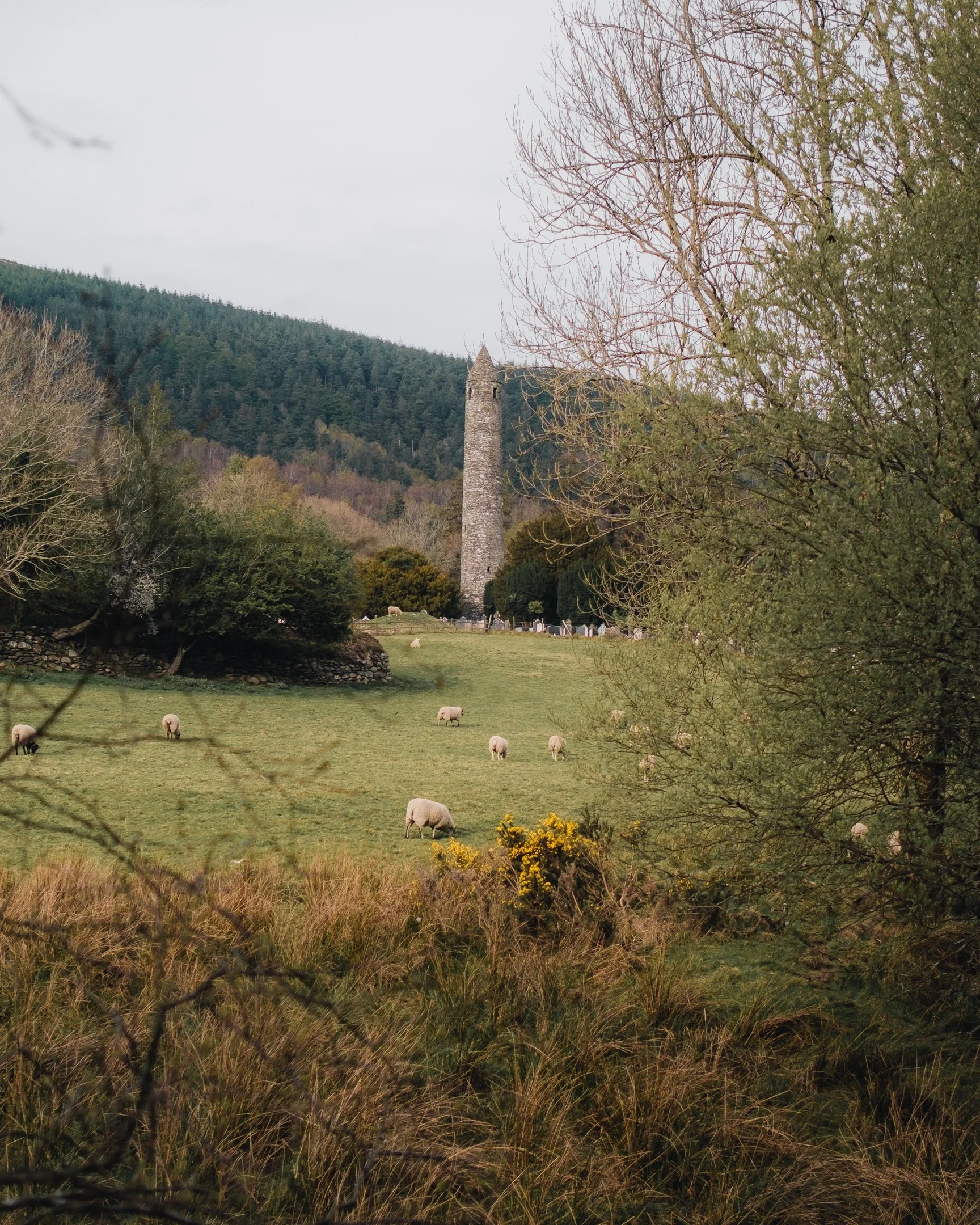 2024-05-18 (4968).jpeg