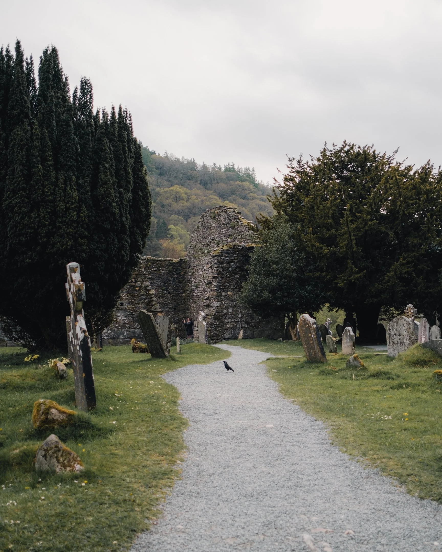 2024-05-18 (4929).jpeg