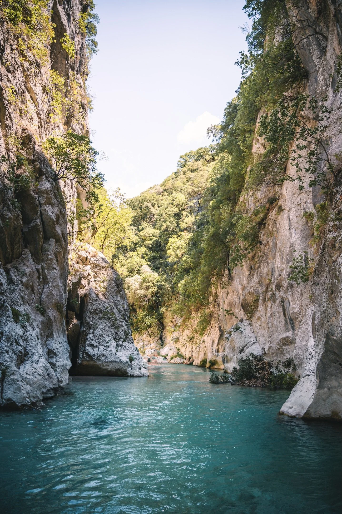 2024-05-18 (3935).jpeg