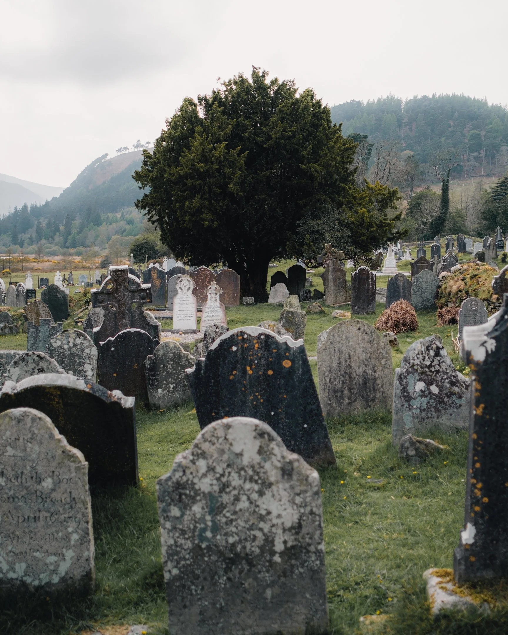 2024-05-18 (4939).jpeg